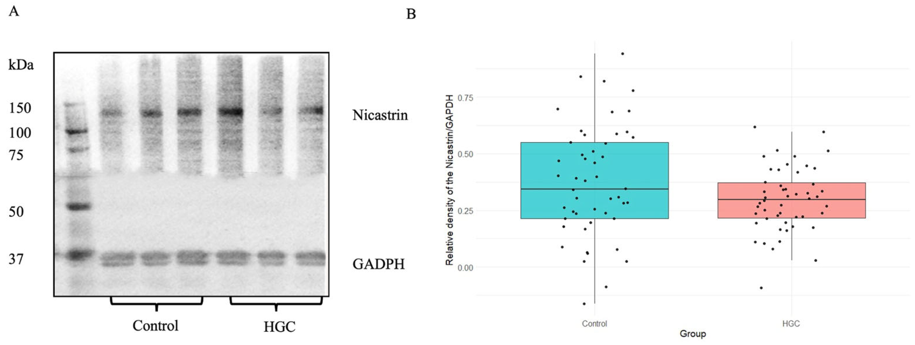 Biomed 05 00003 g007 Biomed 05 00003 g007