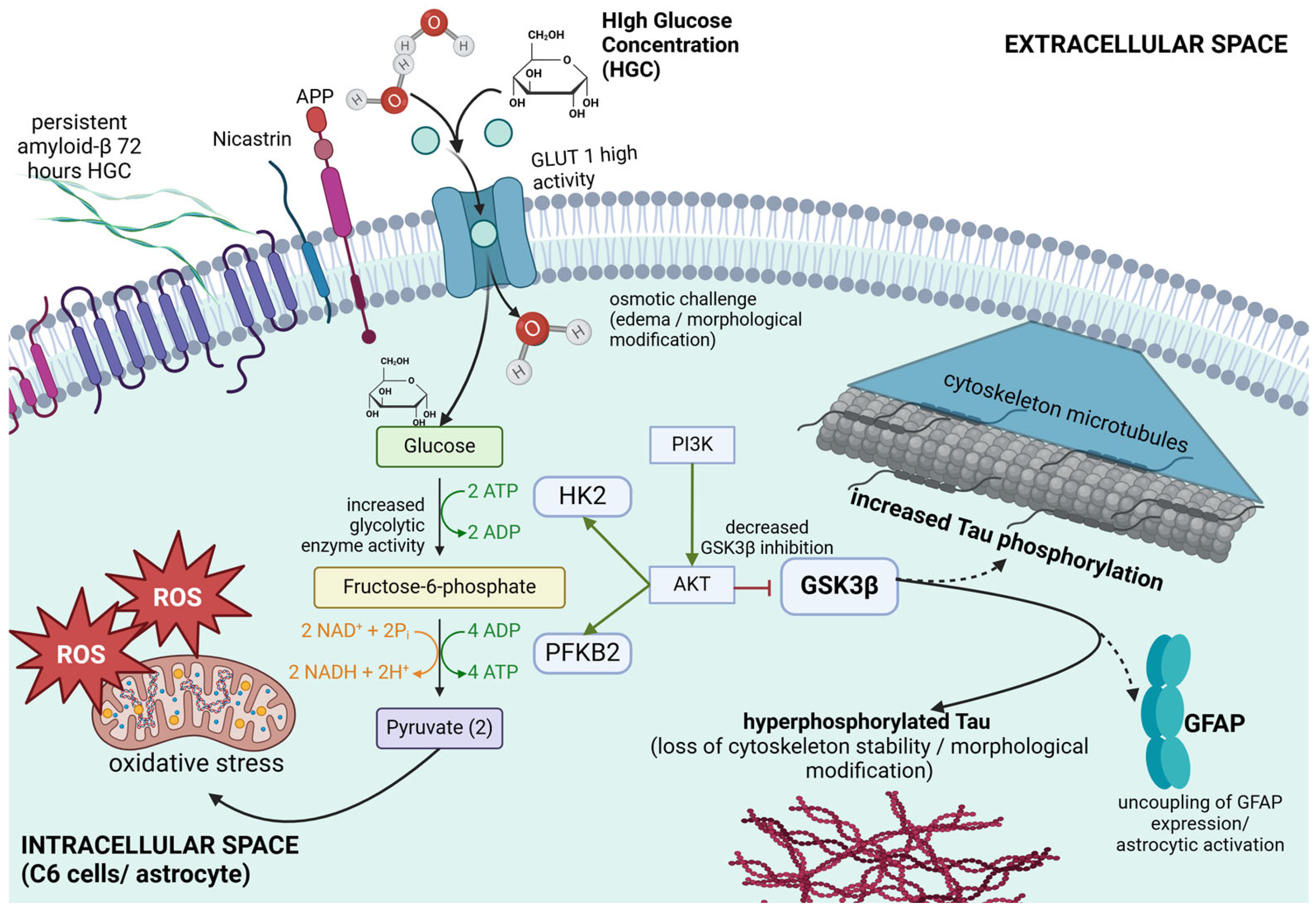 Biomed 05 00003 g010 Biomed 05 00003 g010