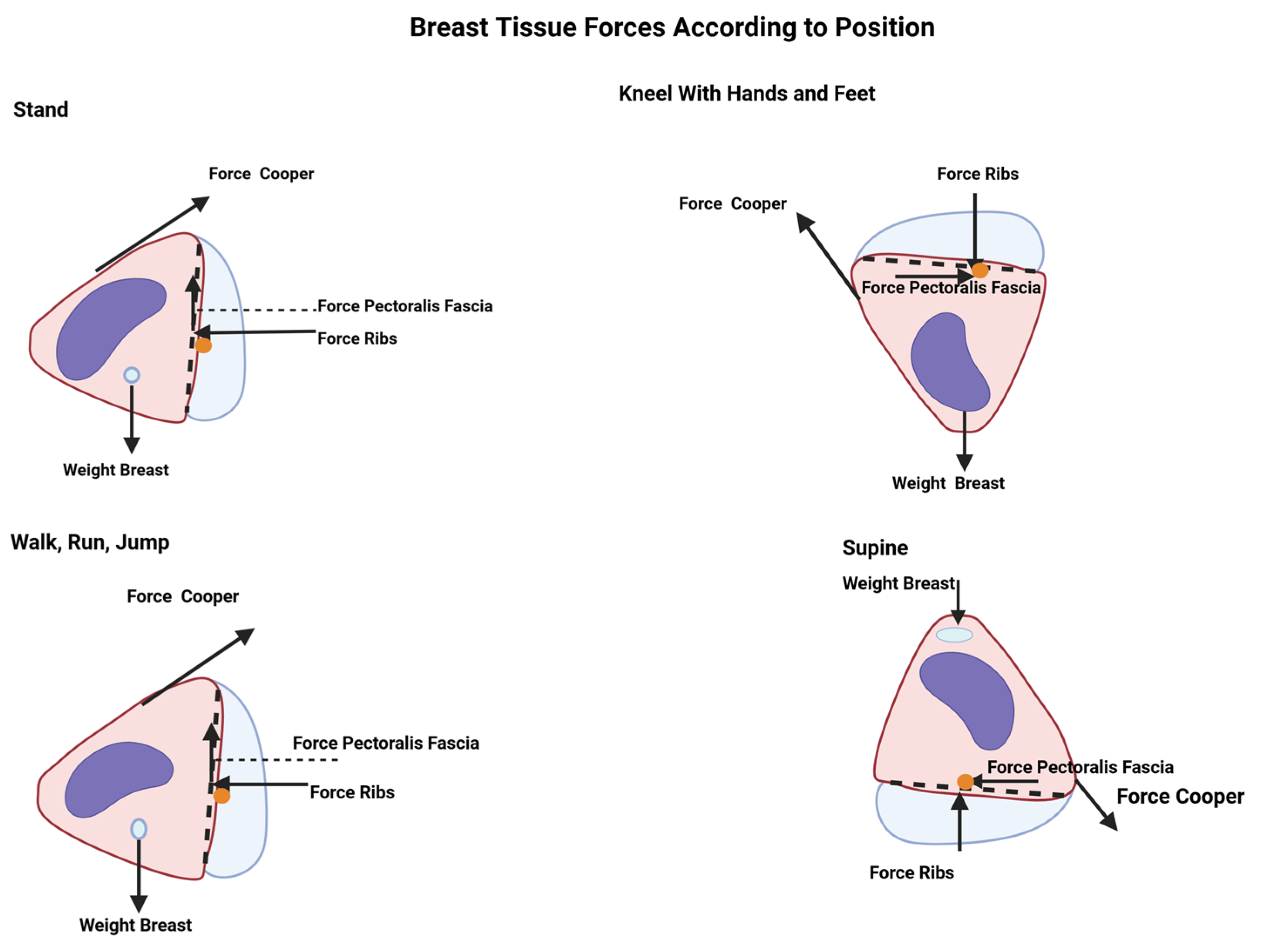 Biomed 05 00005 g004 Biomed 05 00005 g004