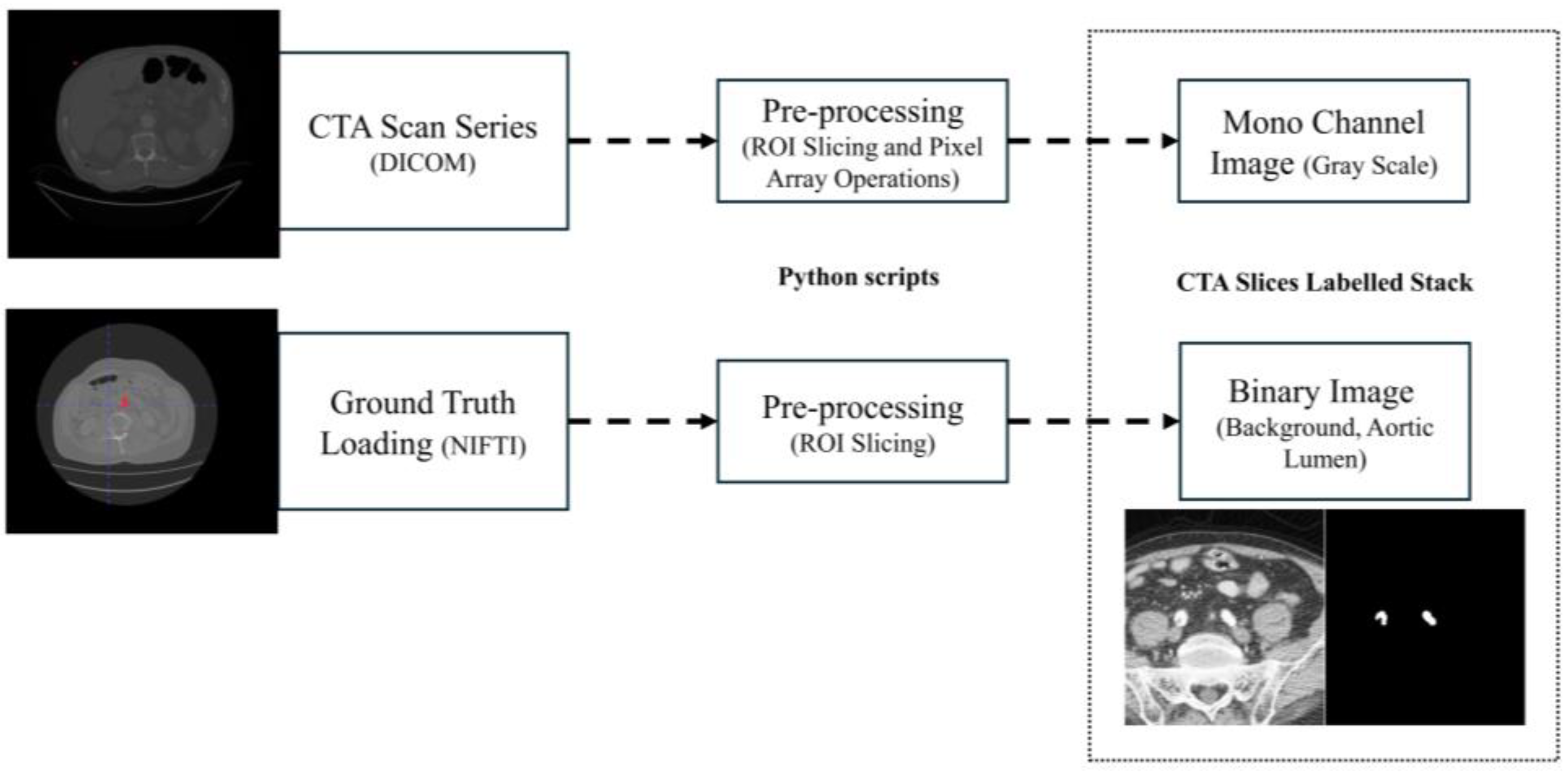 Biomed 05 00009 g002
