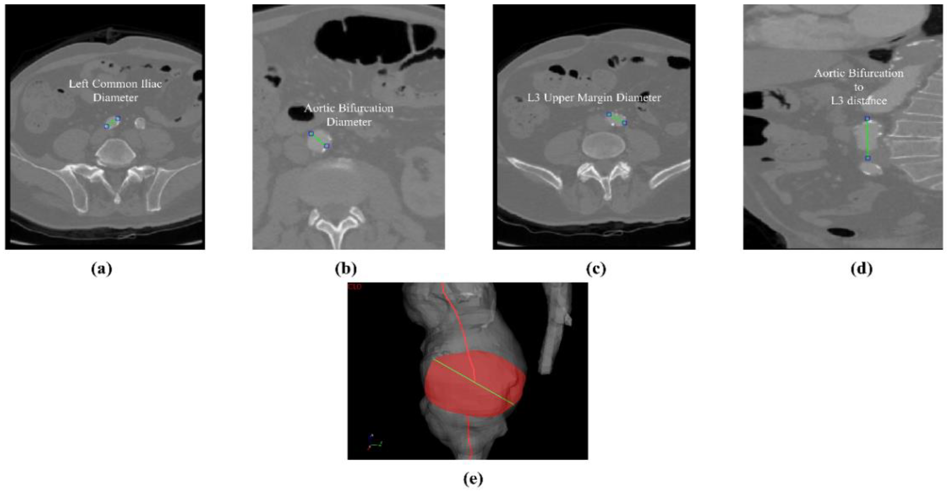 Biomed 05 00009 g004