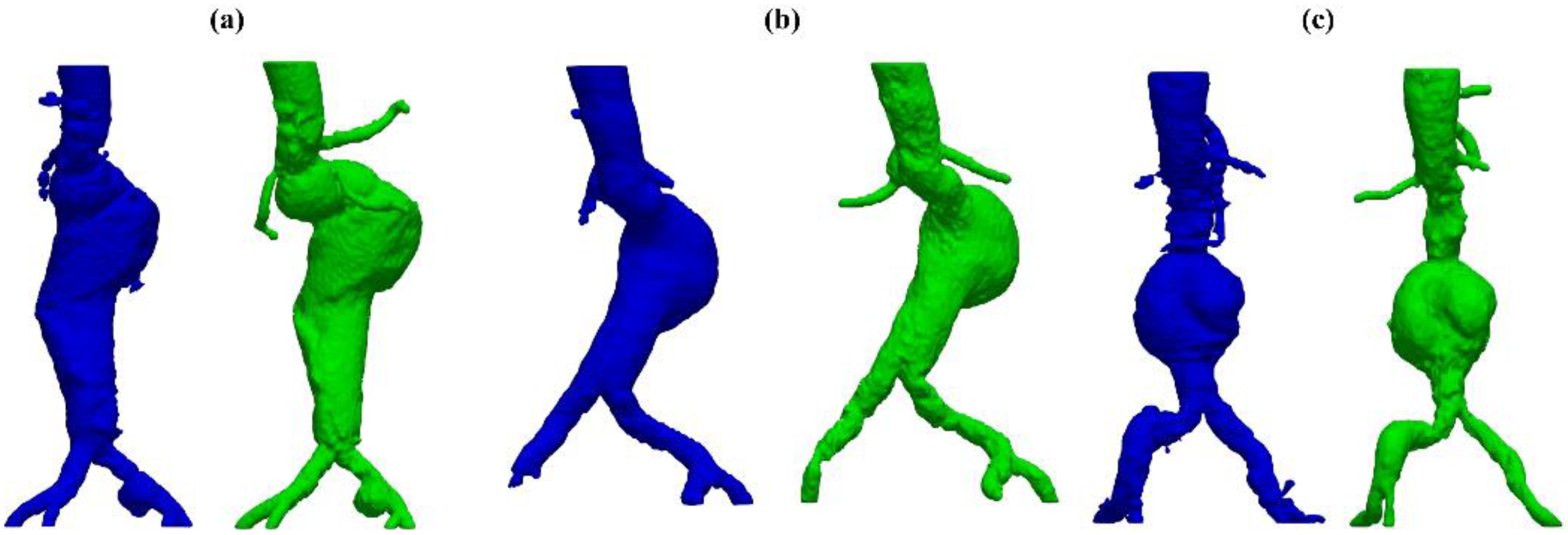 Biomed 05 00009 g005