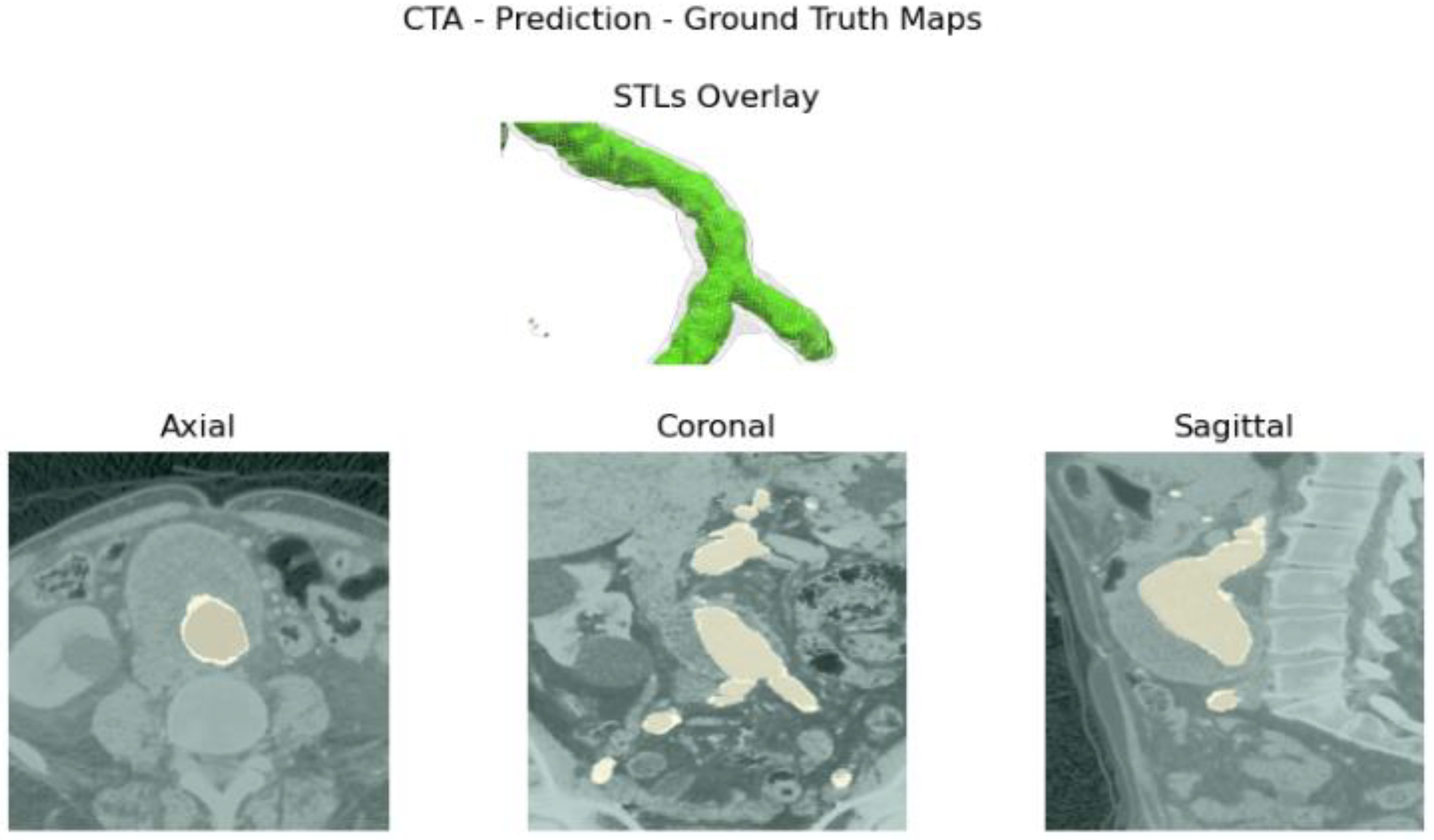 Biomed 05 00009 g008