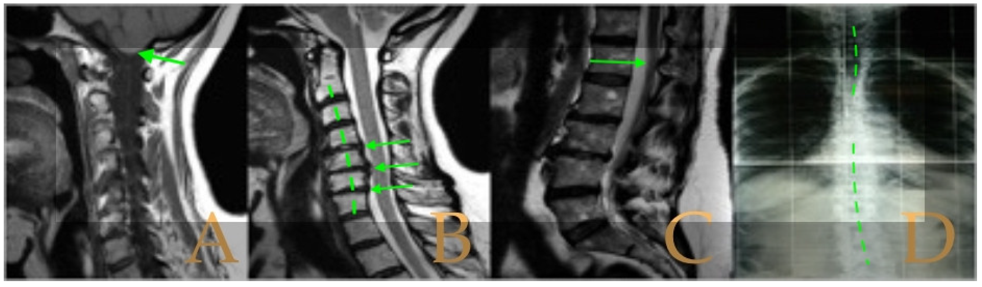 Biomed 05 00012 g001