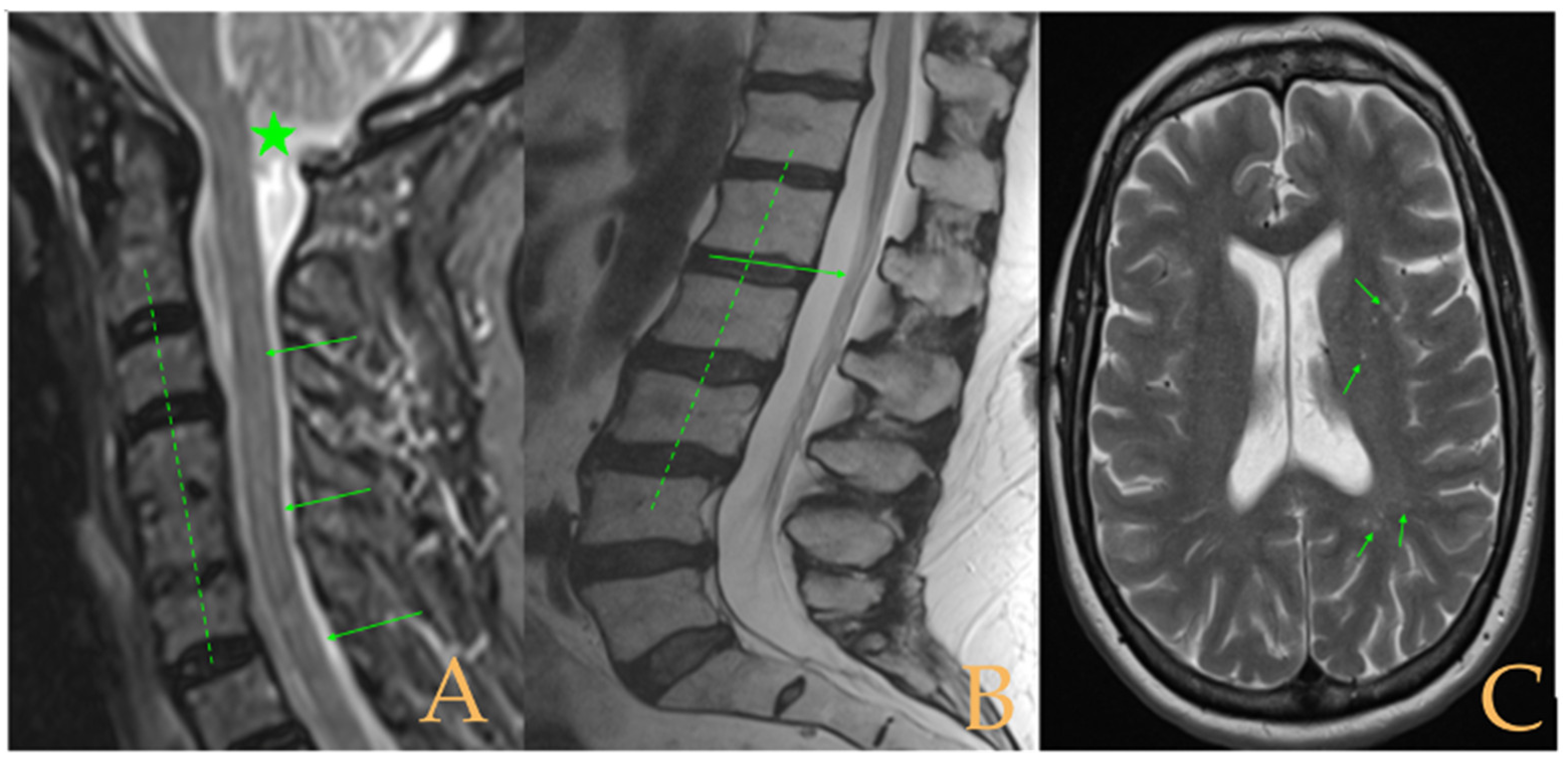 Biomed 05 00012 g002