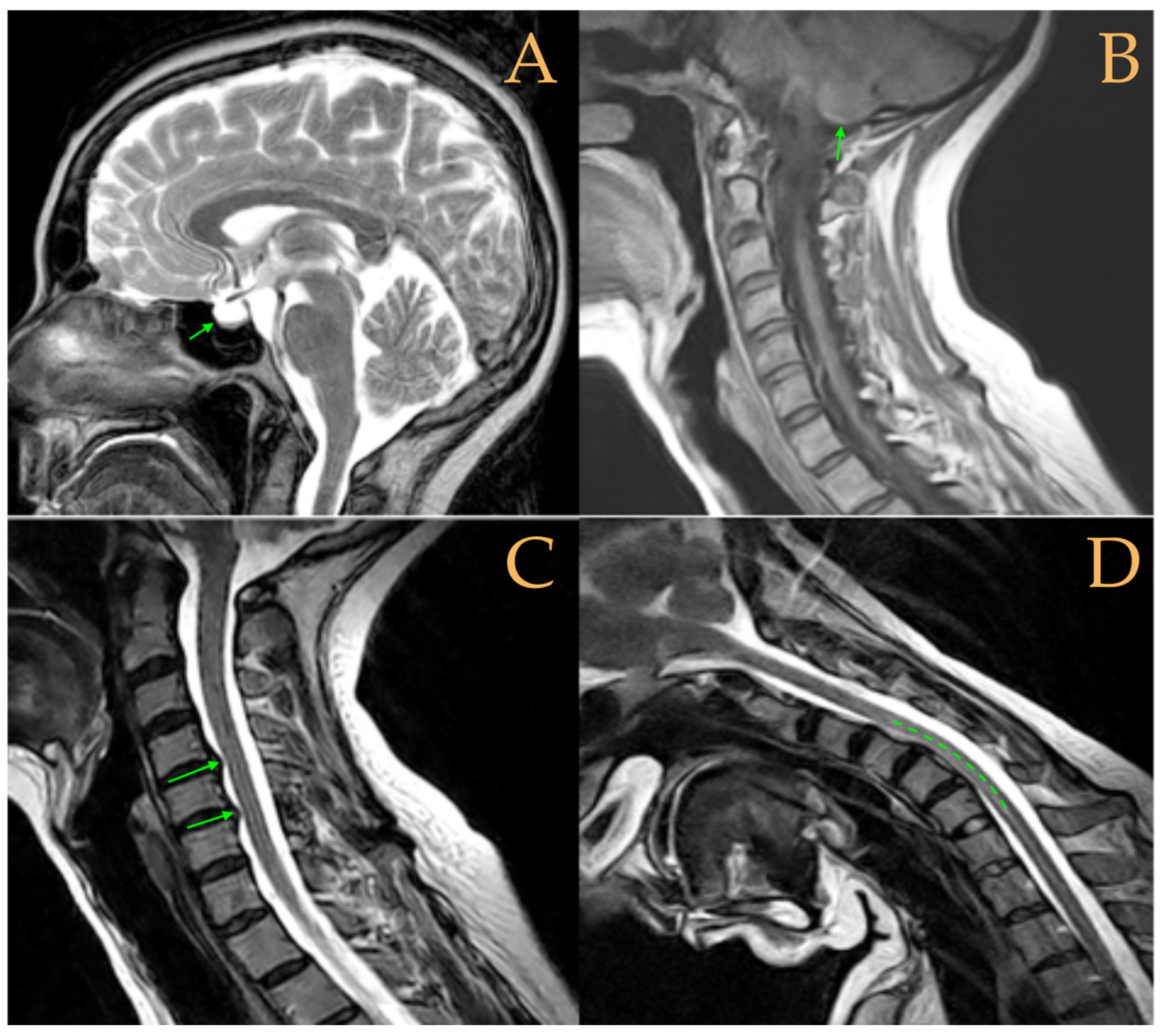 Biomed 05 00012 g003