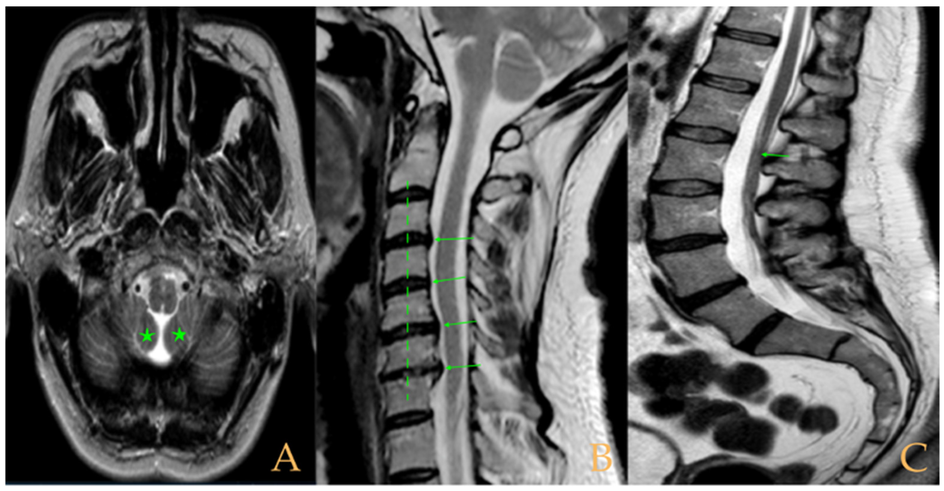 Biomed 05 00012 g004