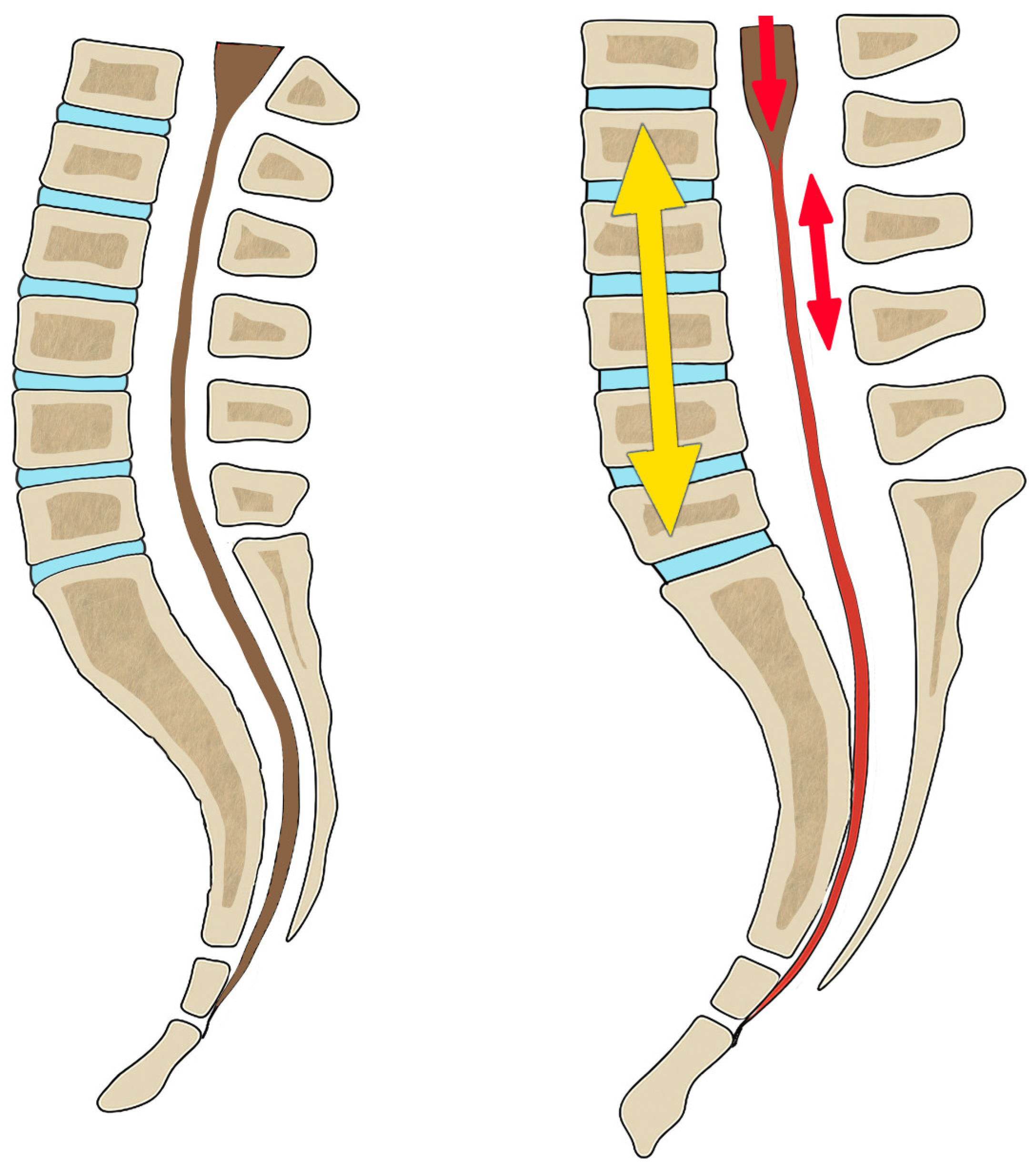 Biomed 05 00012 g018