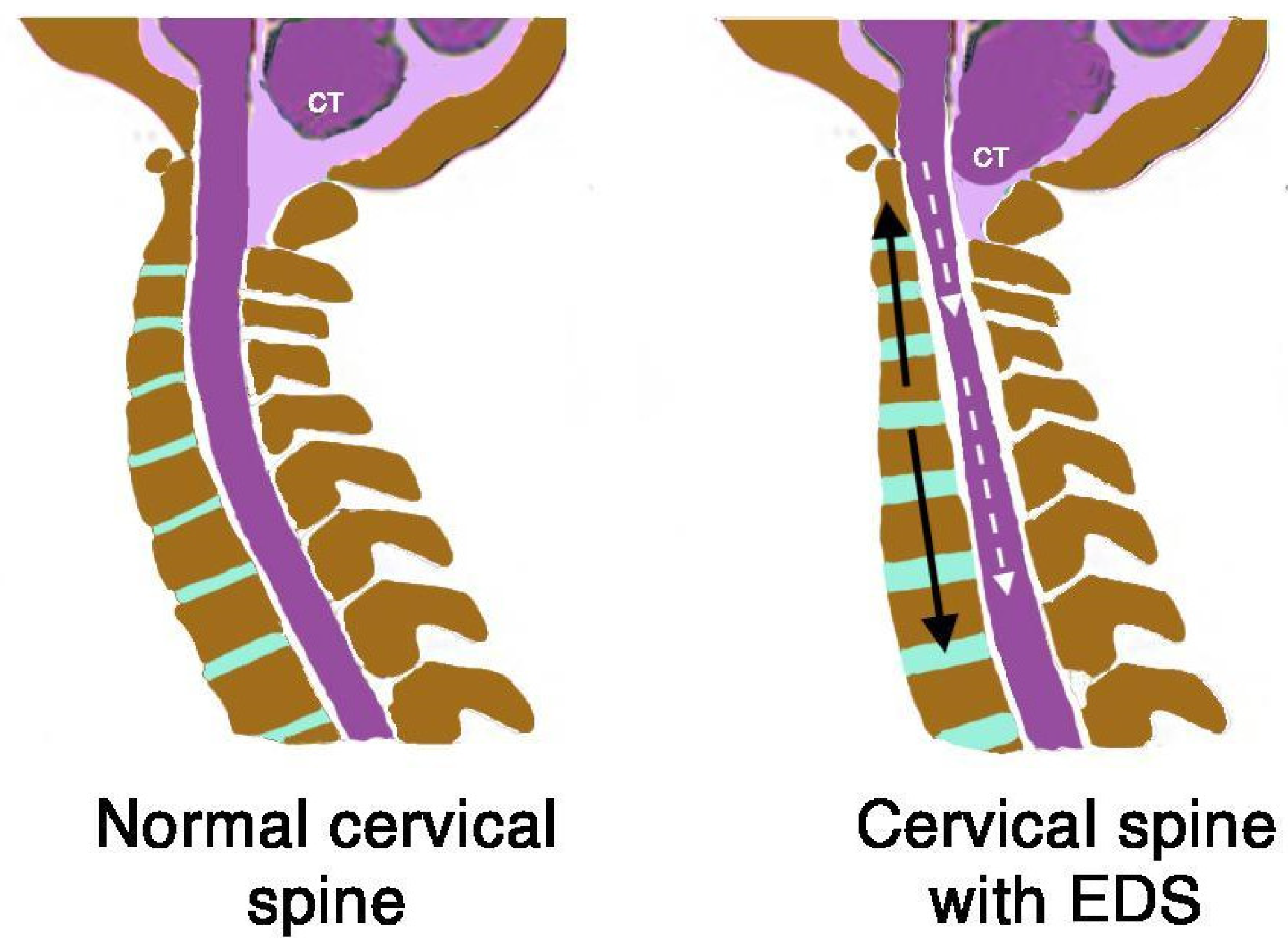 Biomed 05 00012 g019