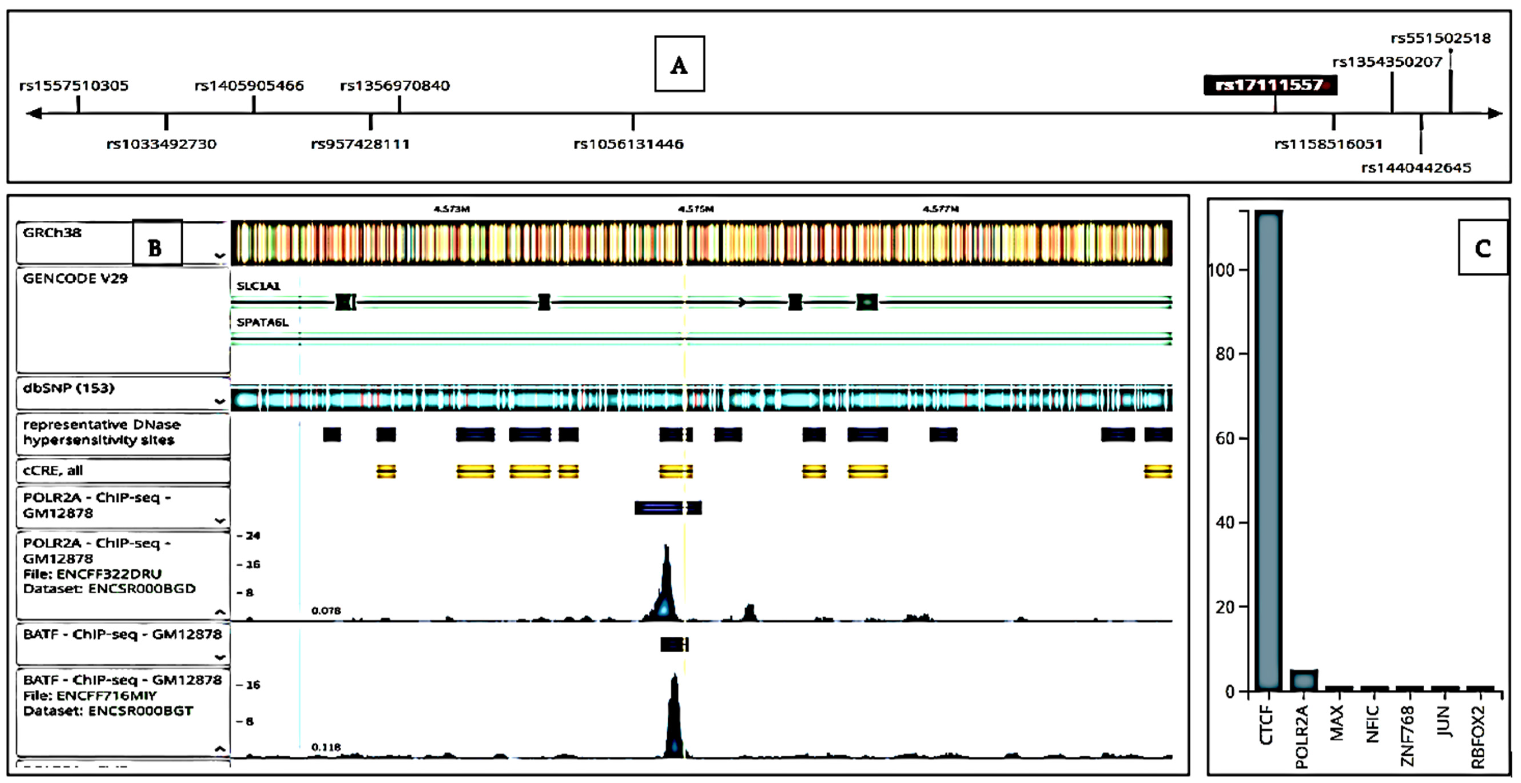 Biomed 05 00015 g001 Biomed 05 00015 g001