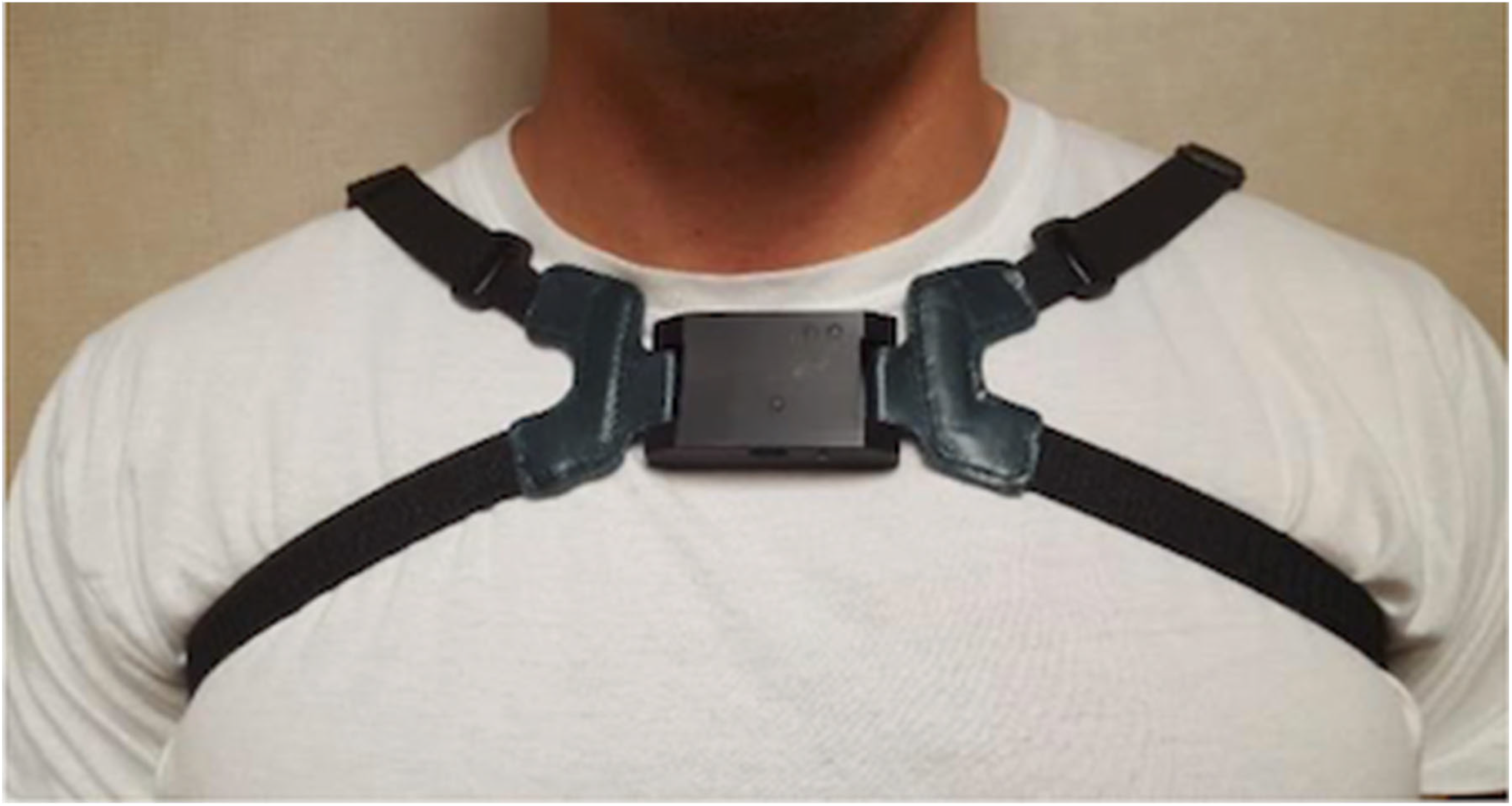 Biomed 05 00016 g001