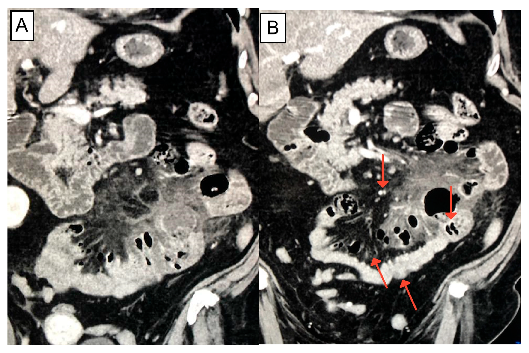Biomed 05 00017 g001
