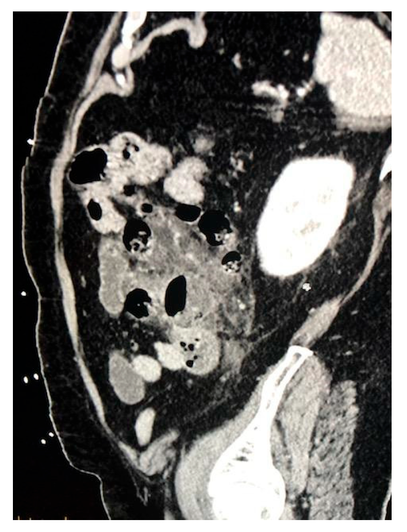Biomed 05 00017 g002