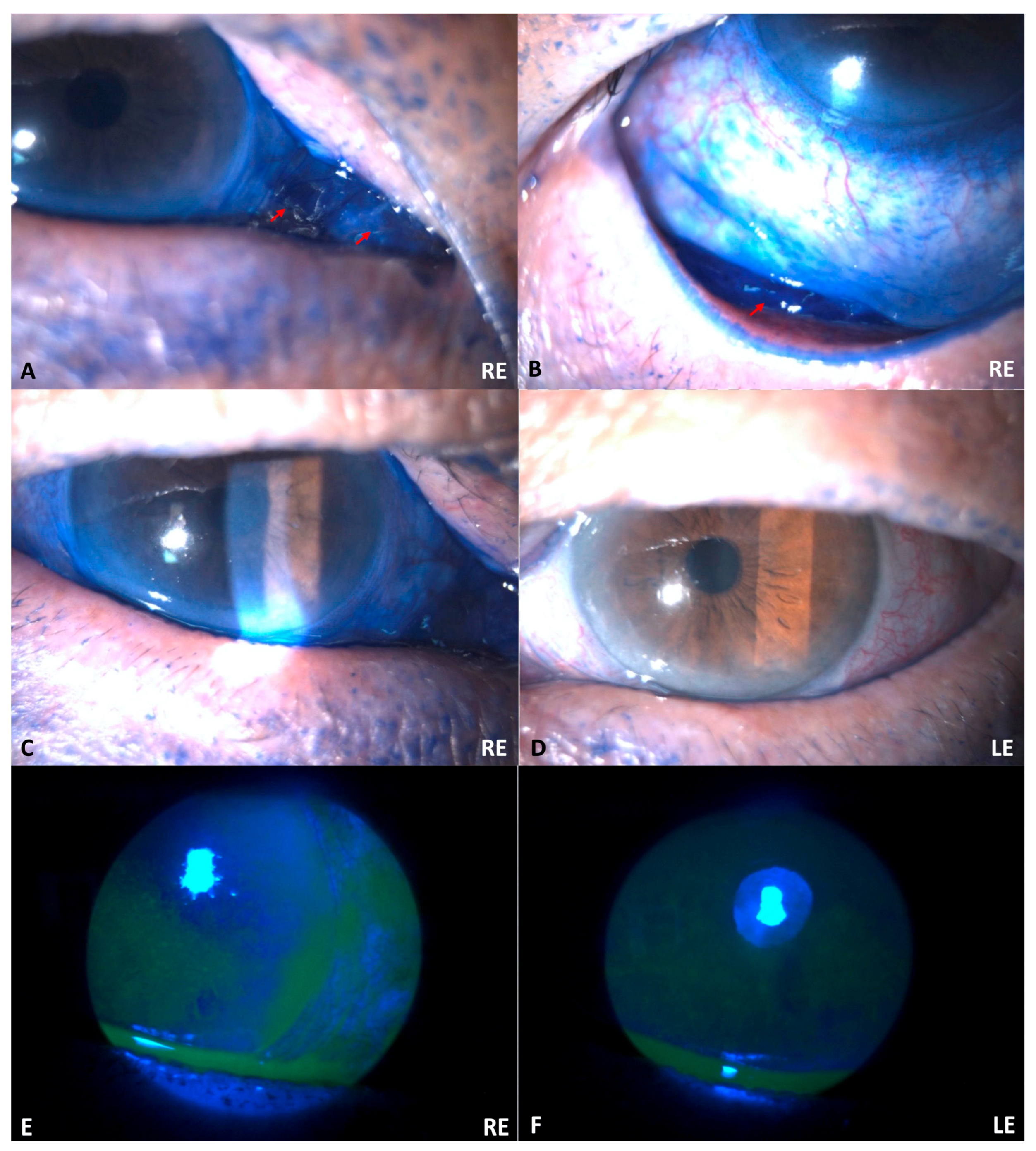 Biomed 05 00018 g002