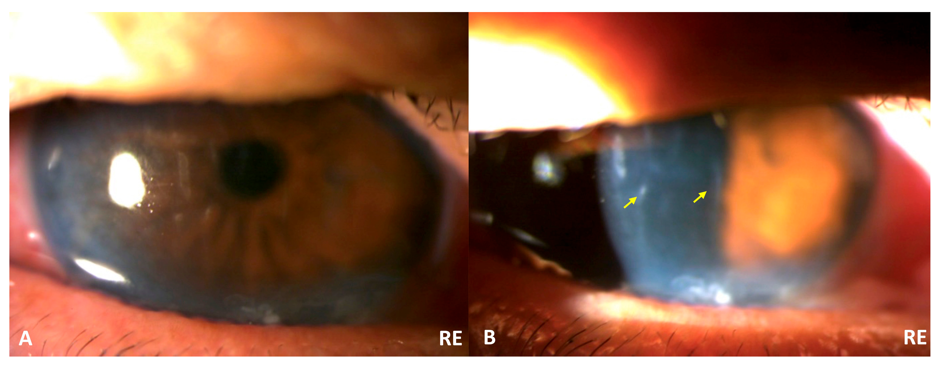 Biomed 05 00018 g003