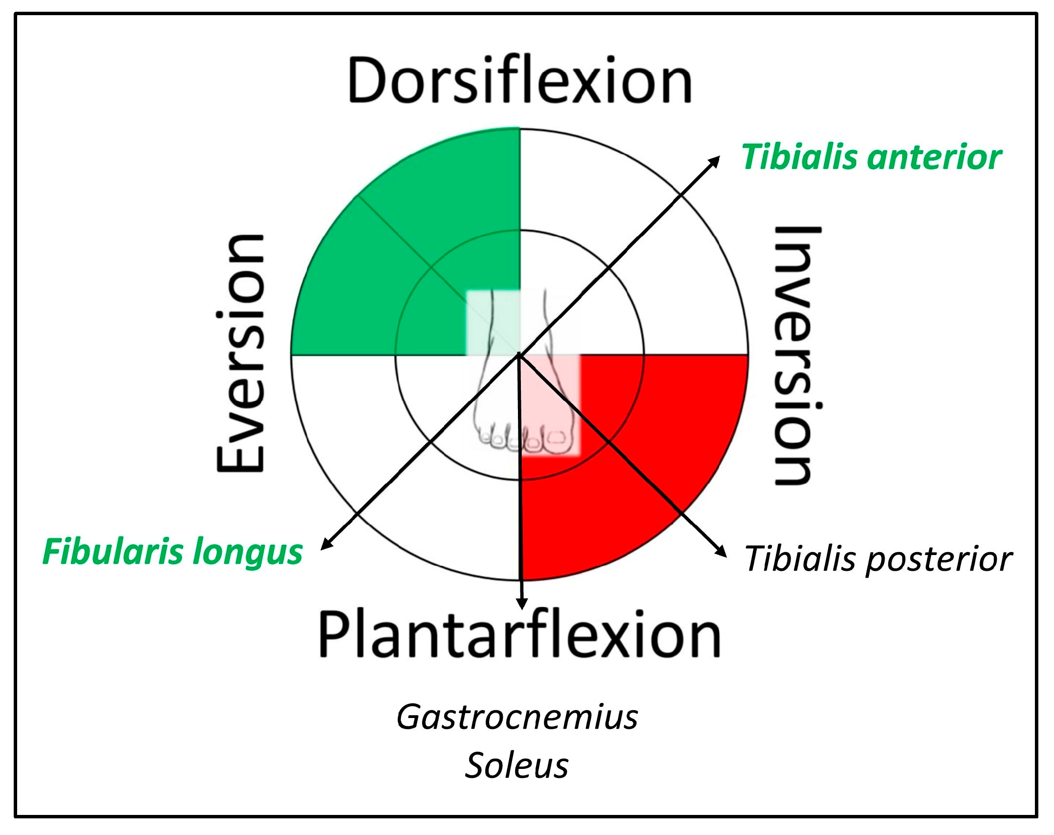 Biomed 05 00023 g001 Biomed 05 00023 g001