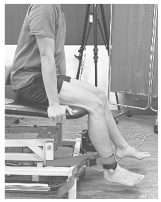 Biomed 05 00023 i003 Biomed 05 00023 i003