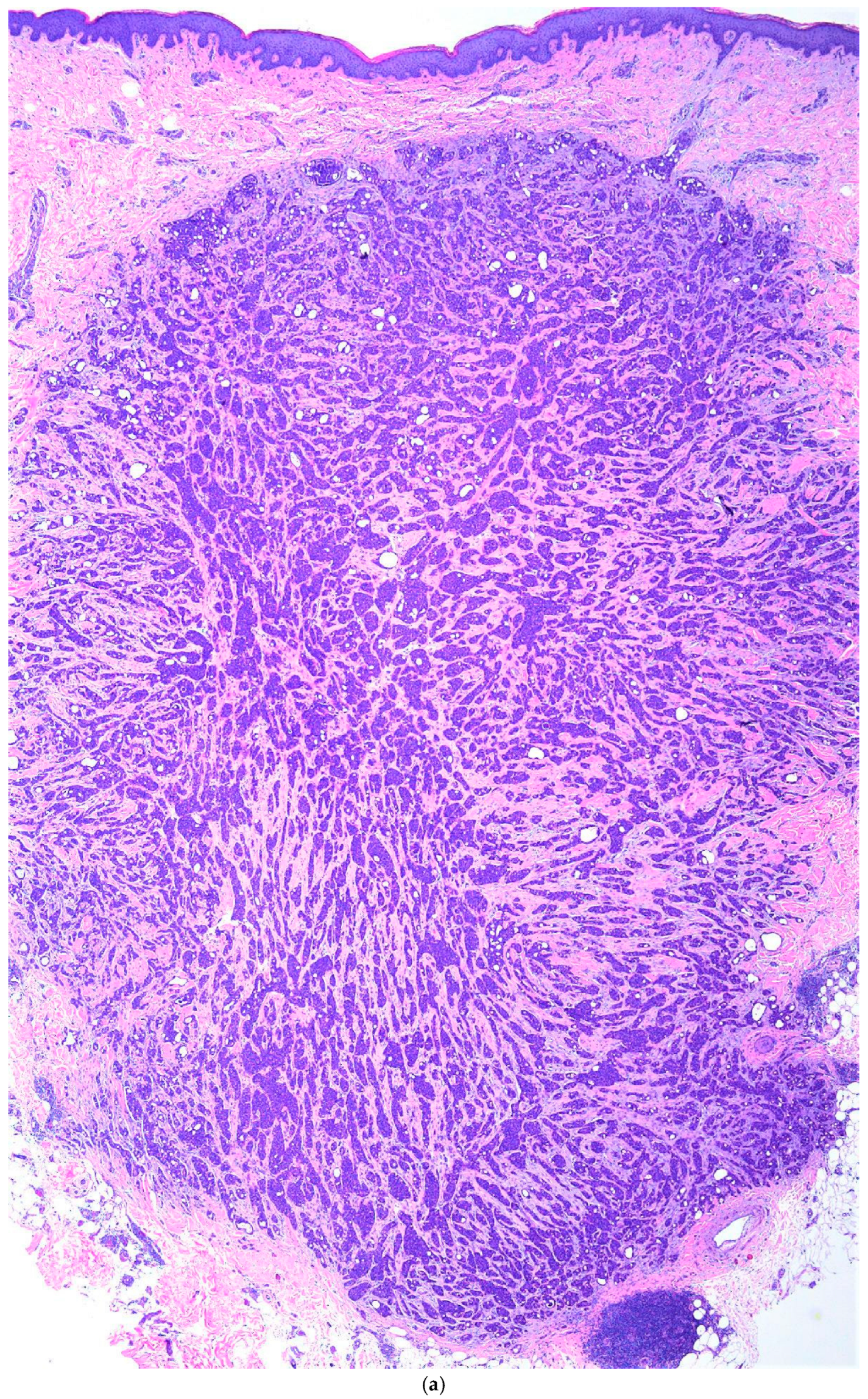 Biomed 05 00026 g001a