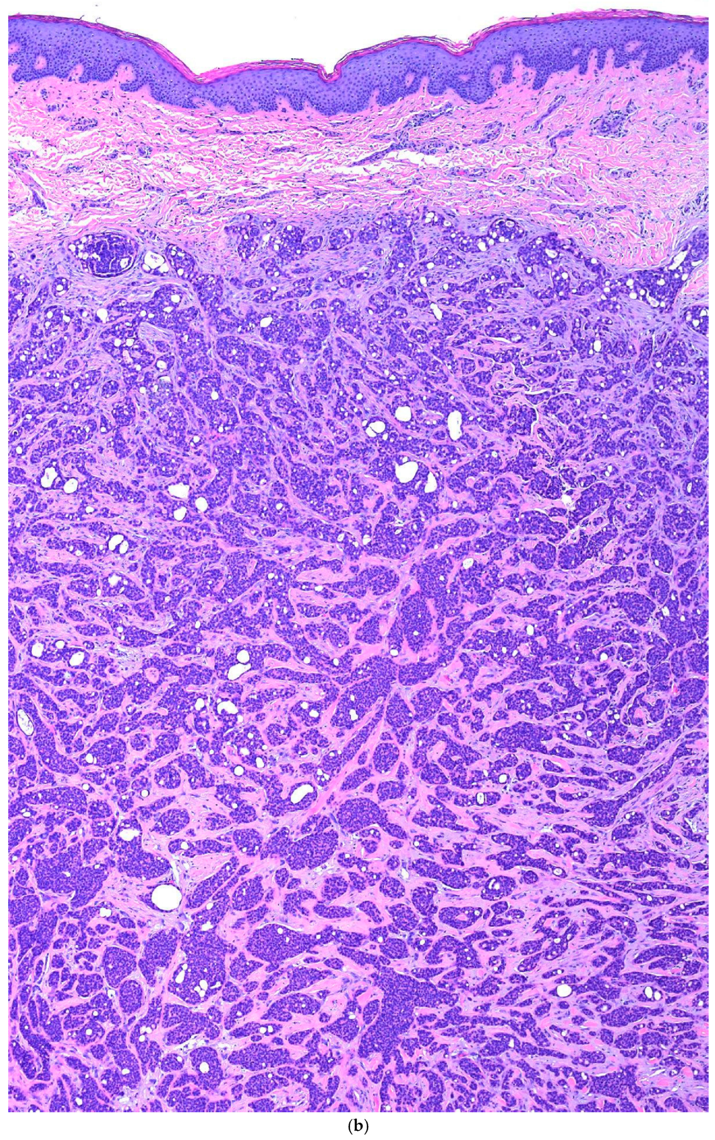 Biomed 05 00026 g001b