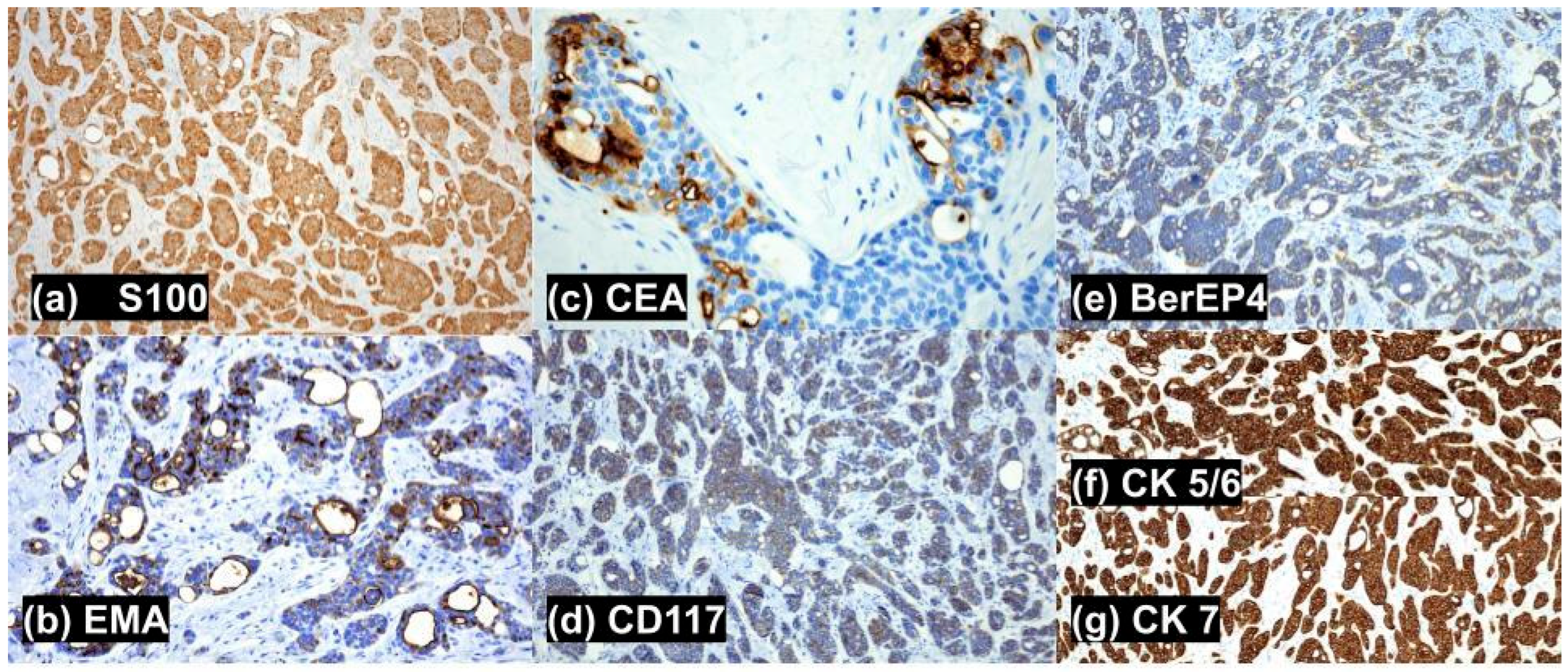 Biomed 05 00026 g002