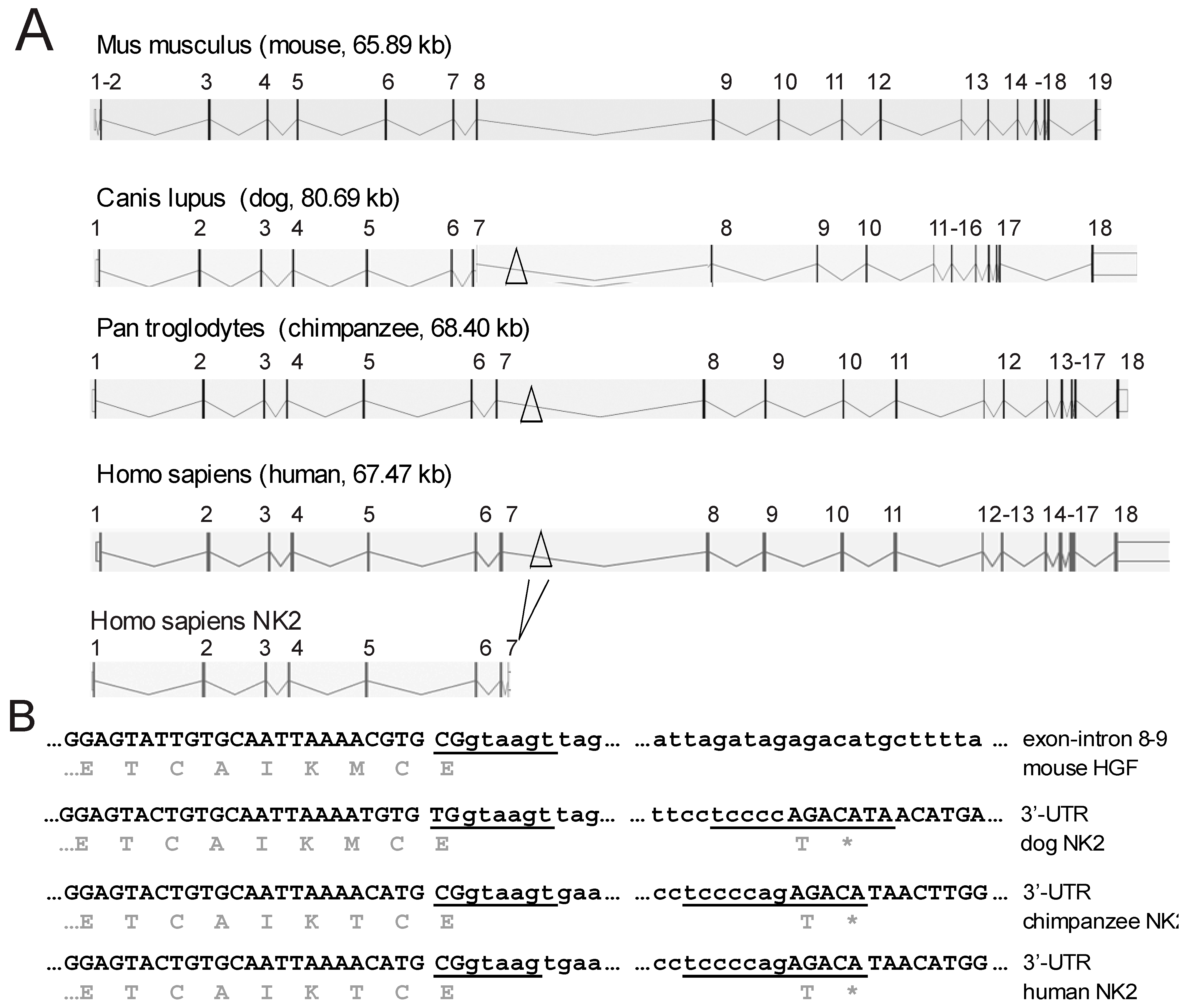 Biomedicines 02 00301 g001 1024