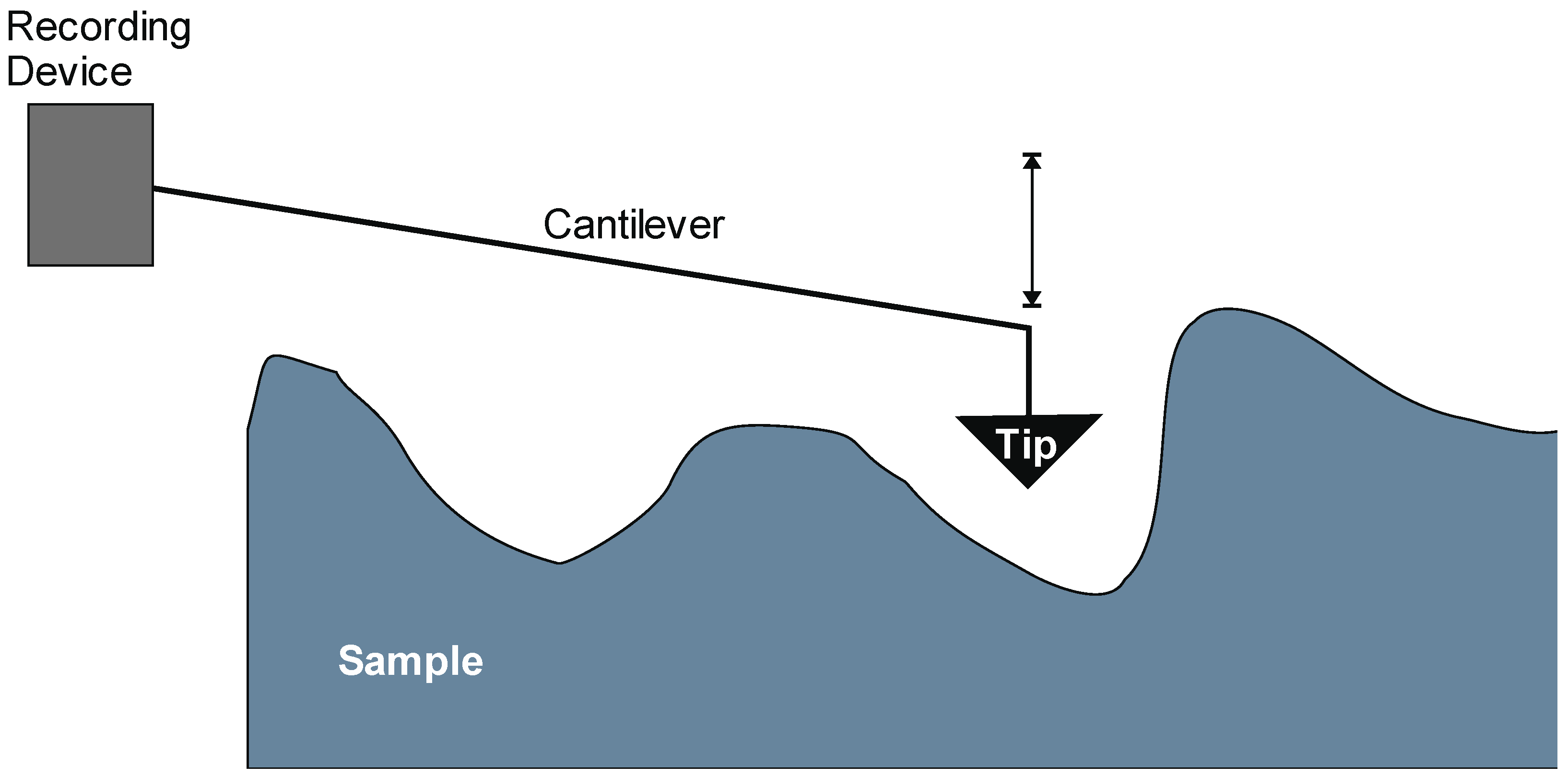 Biomedicines 03 00203 g002