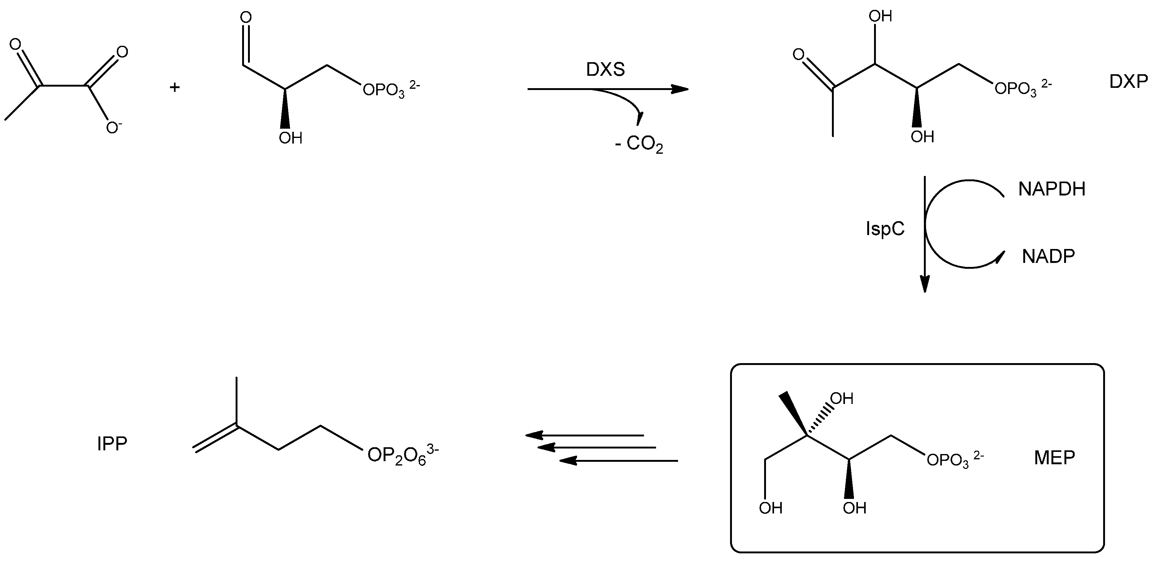 Biomedicines 03 00203 g005