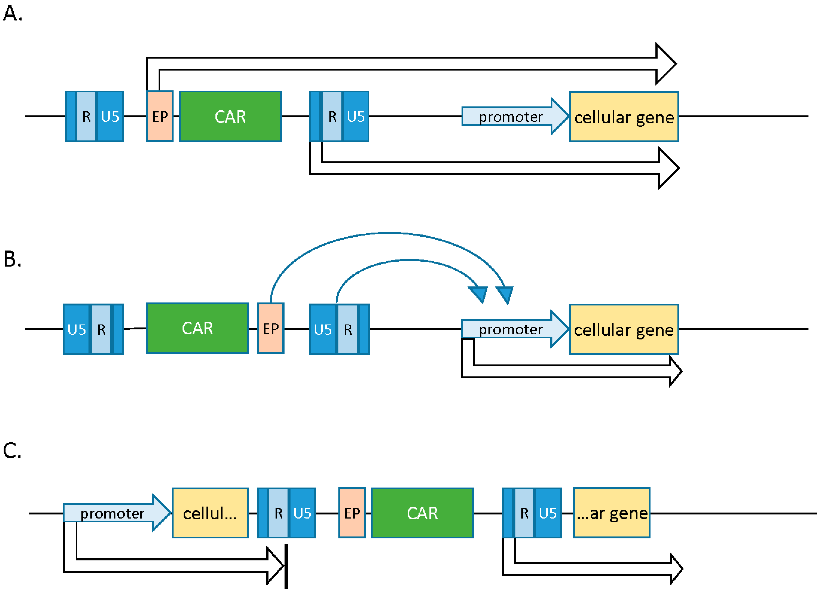 Biomedicines 04 00009 g002 1024