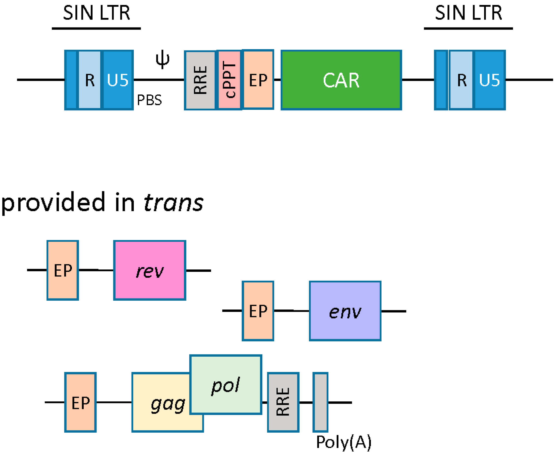 Biomedicines 04 00009 g003 1024