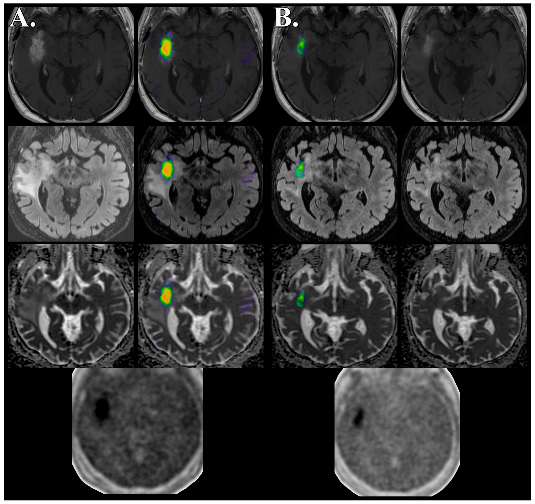Biomedicines 04 00024 g003