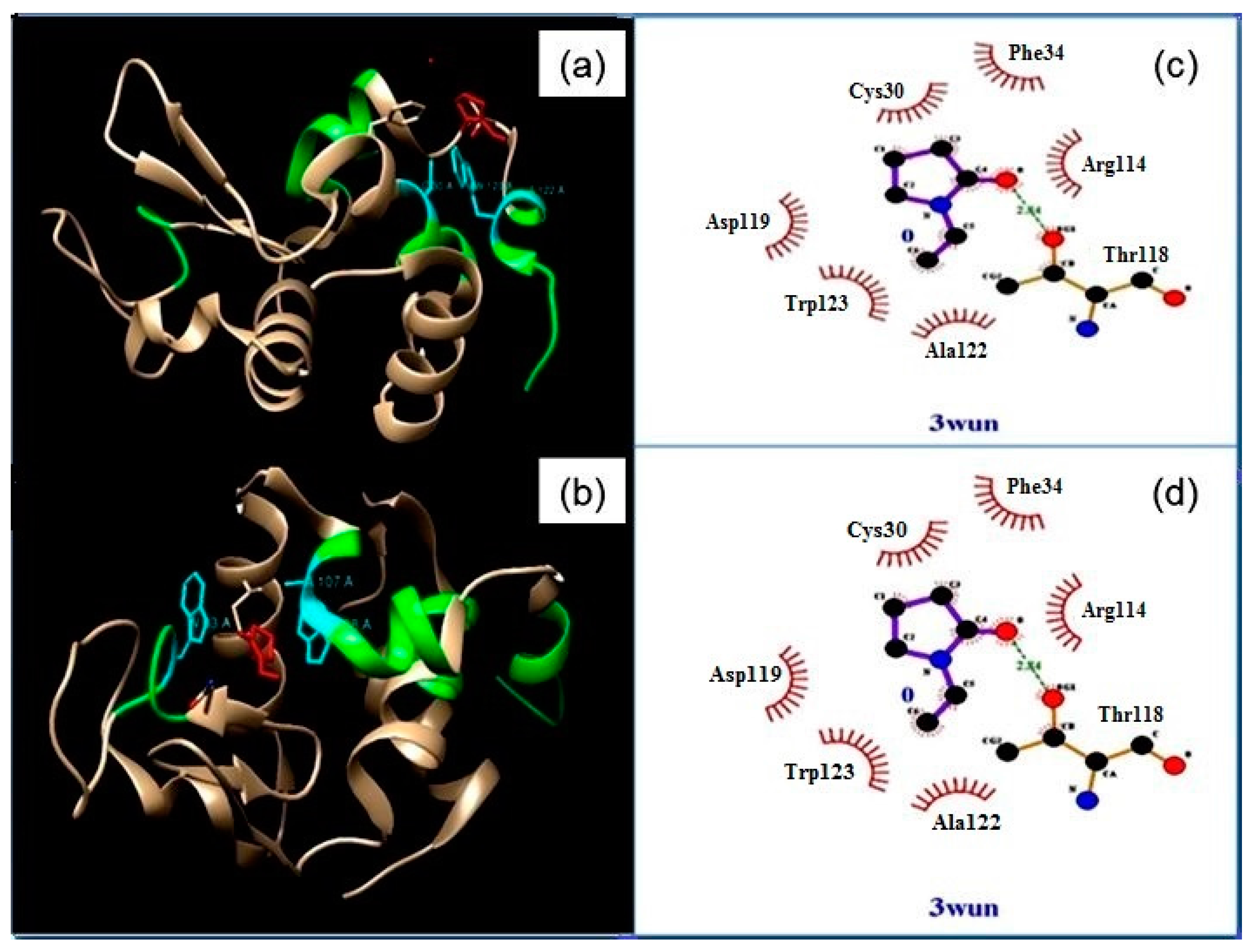 Biomedicines 05 00019 g005
