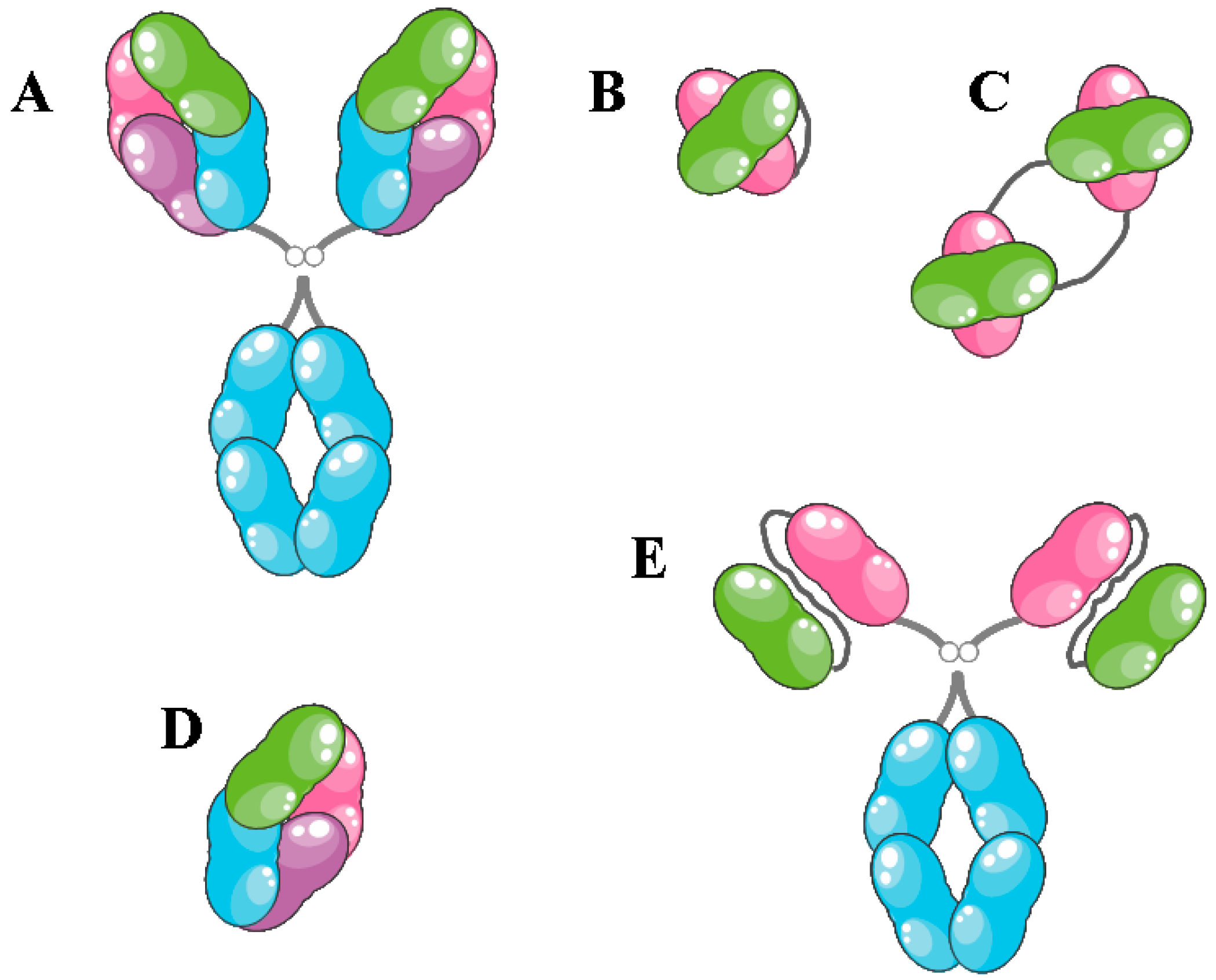 Biomedicines 05 00028 g002