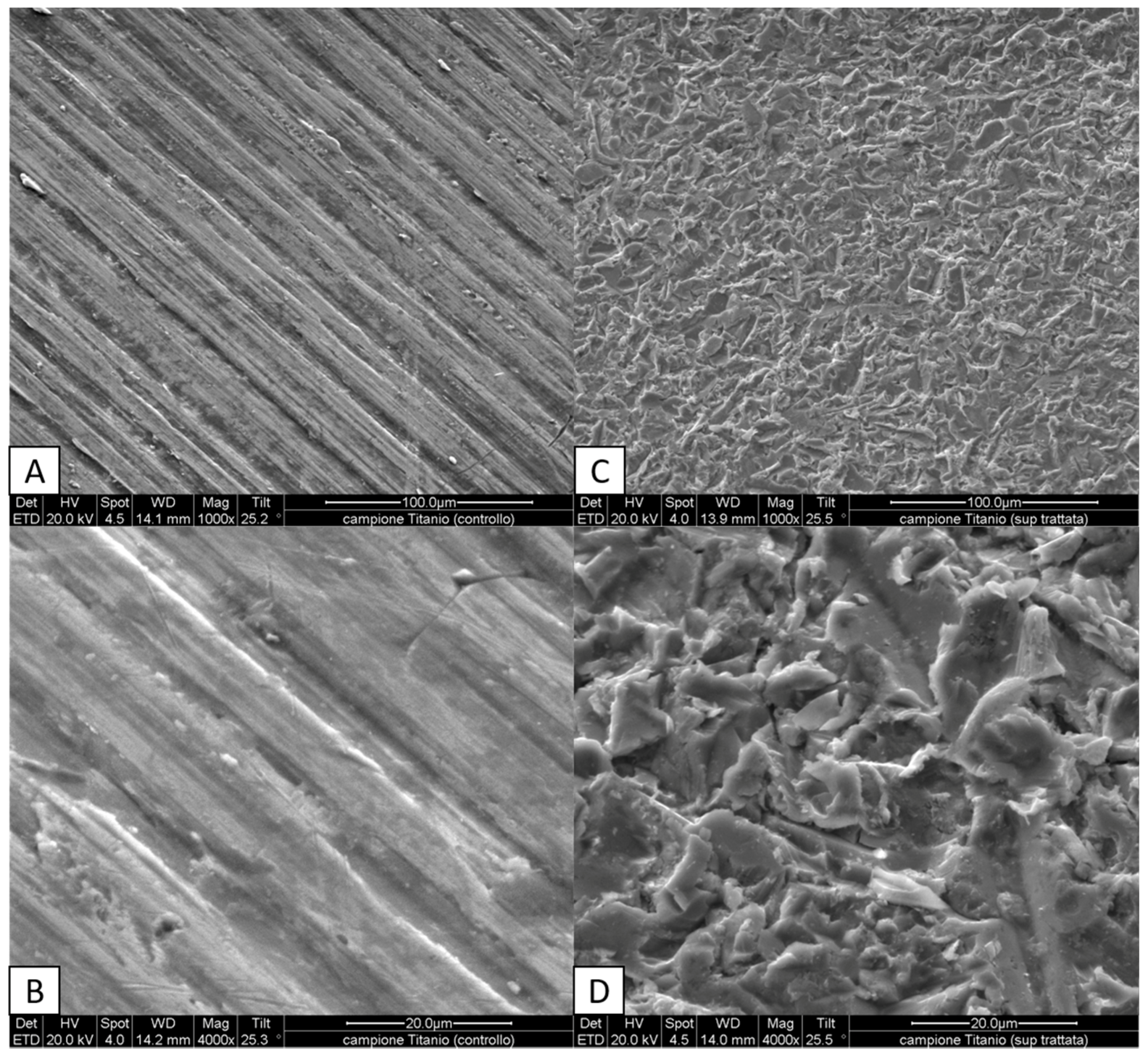 Biomedicines 05 00032 g001