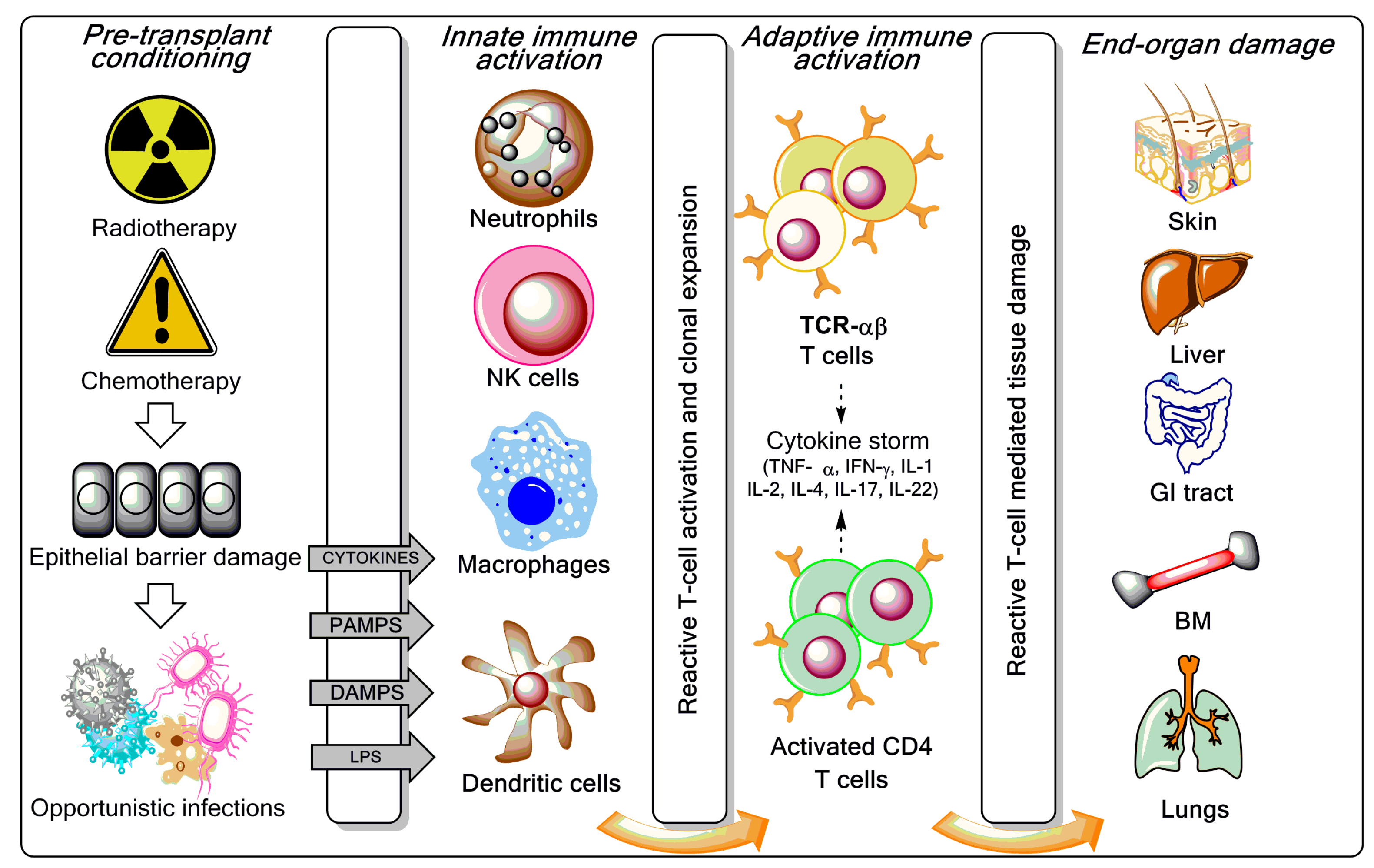 T-Cell Manipulation Strategies to Prevent Graft-Versus-Host