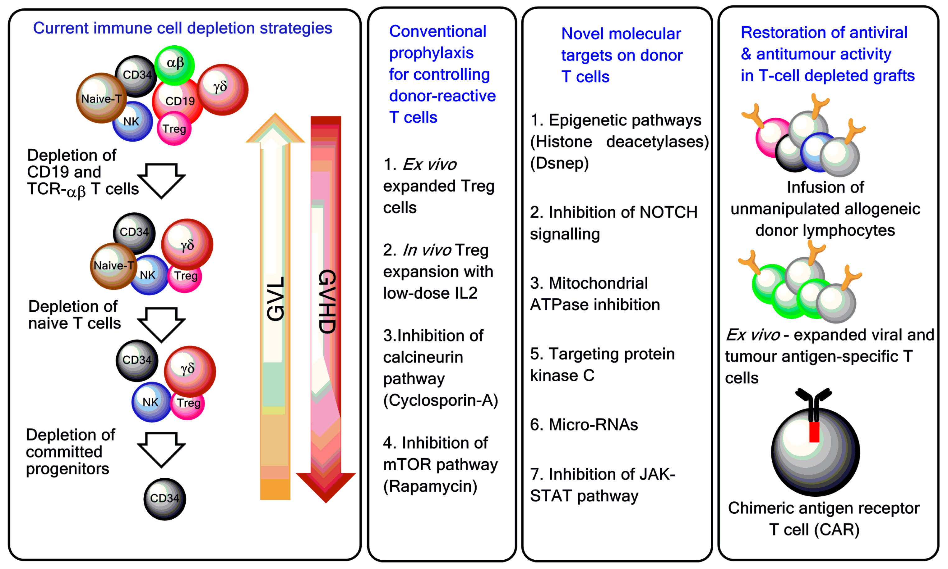 T-Cell Manipulation Strategies to Prevent Graft-Versus-Host