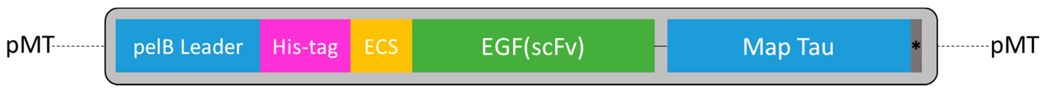 Biomedicines 05 00036 g002