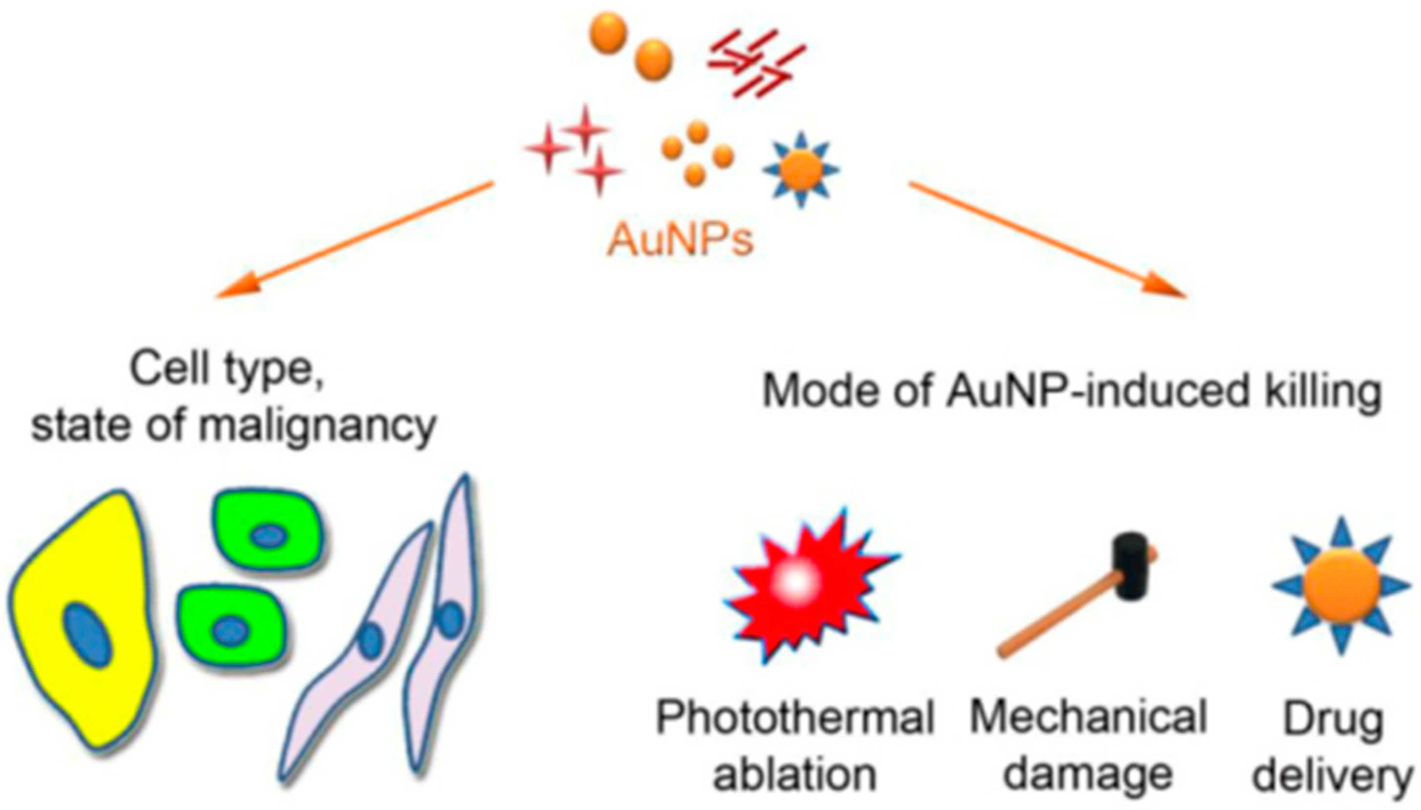 Biomedicines 05 00038 g001 550