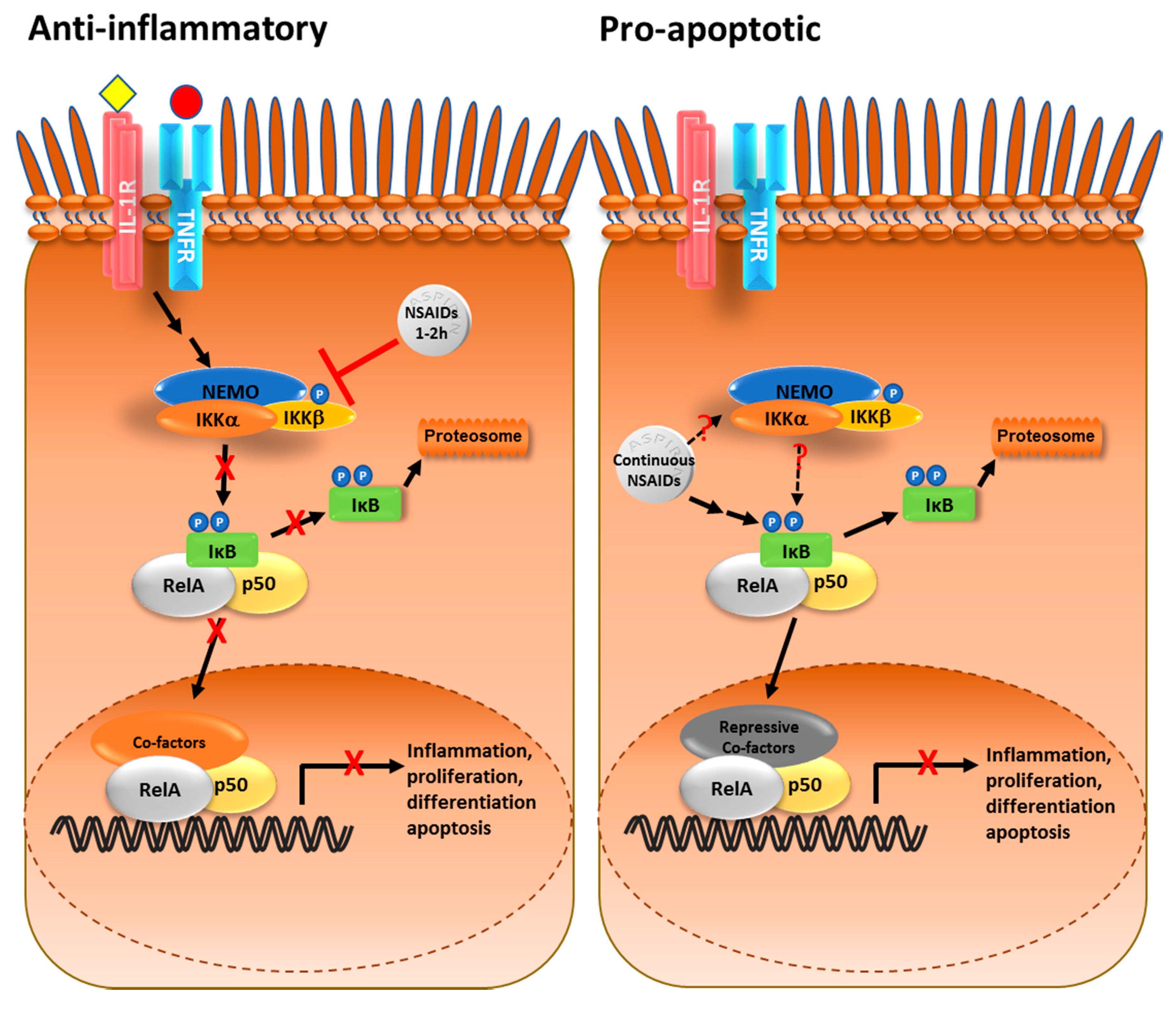 Biomedicines 05 00043 g001 Biomedicines 05 00043 g001