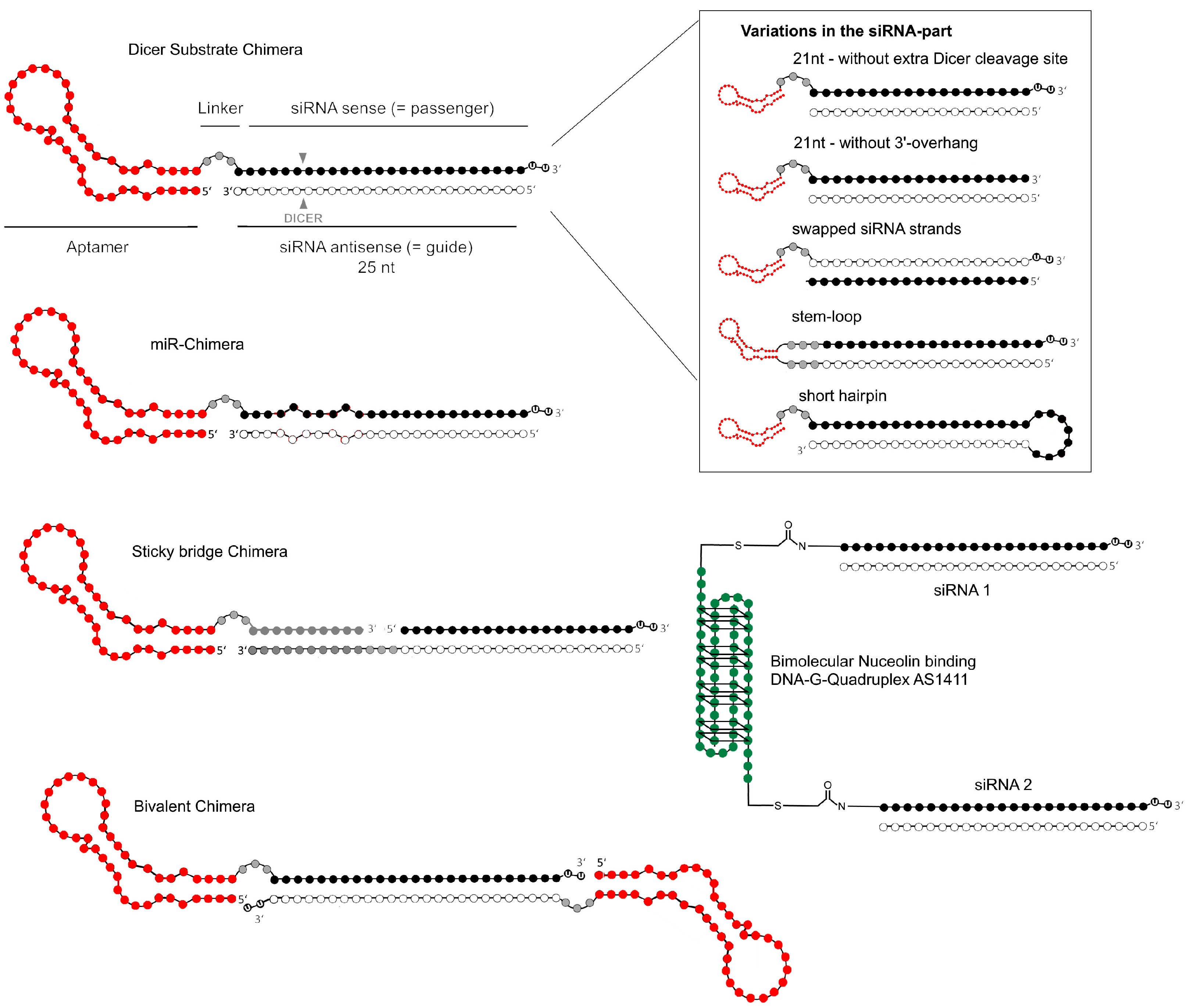 Biomedicines 05 00045 g003 Biomedicines 05 00045 g003