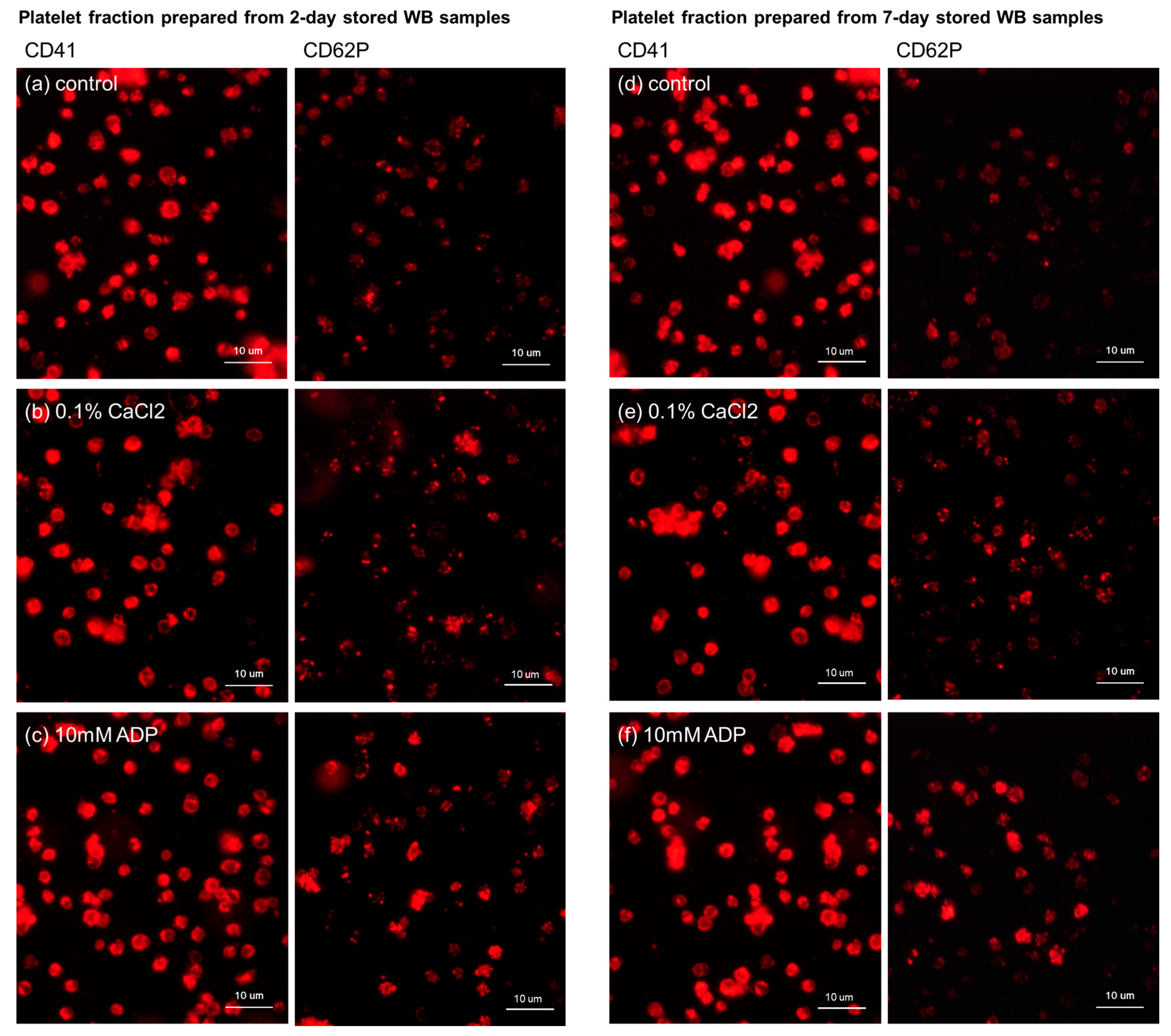 Biomedicines 05 00057 g002 Biomedicines 05 00057 g002