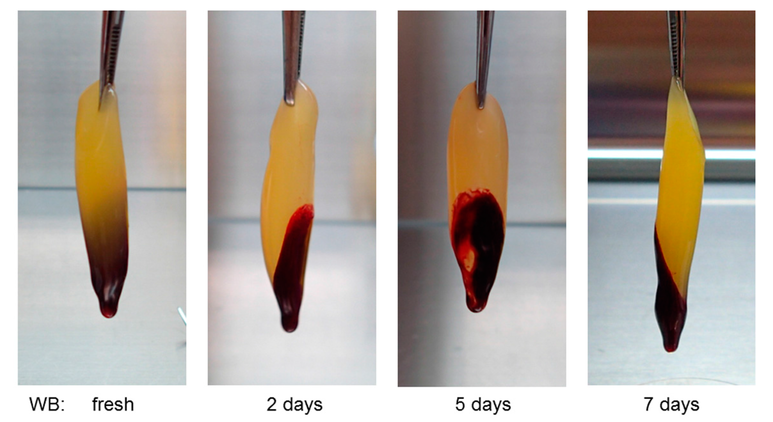 Biomedicines 05 00057 g005 Biomedicines 05 00057 g005