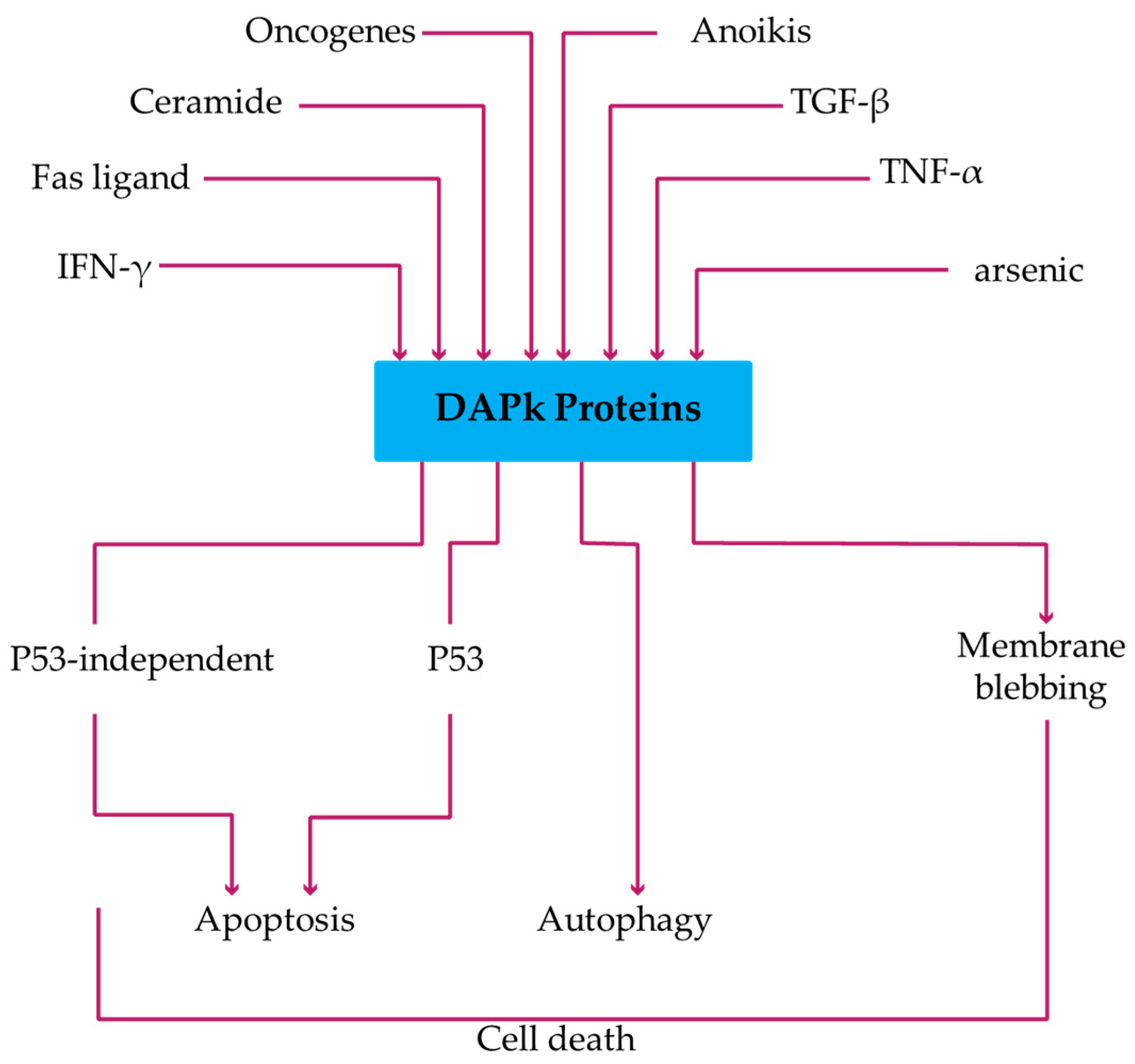 Biomedicines 05 00059 g002