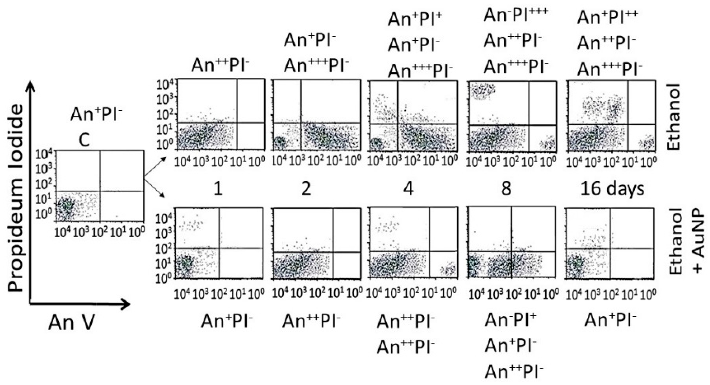 Biomedicines 05 00070 g013