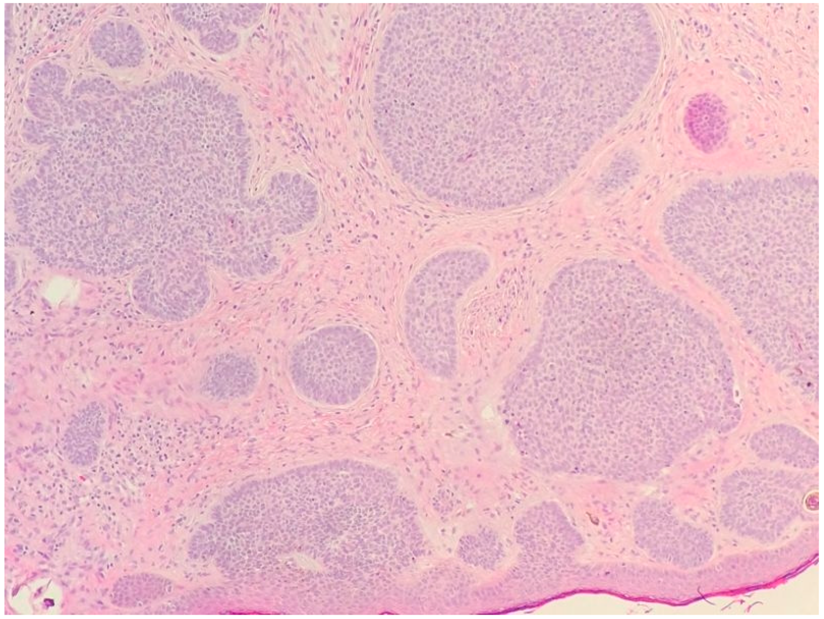 Biomedicines 05 00071 g002