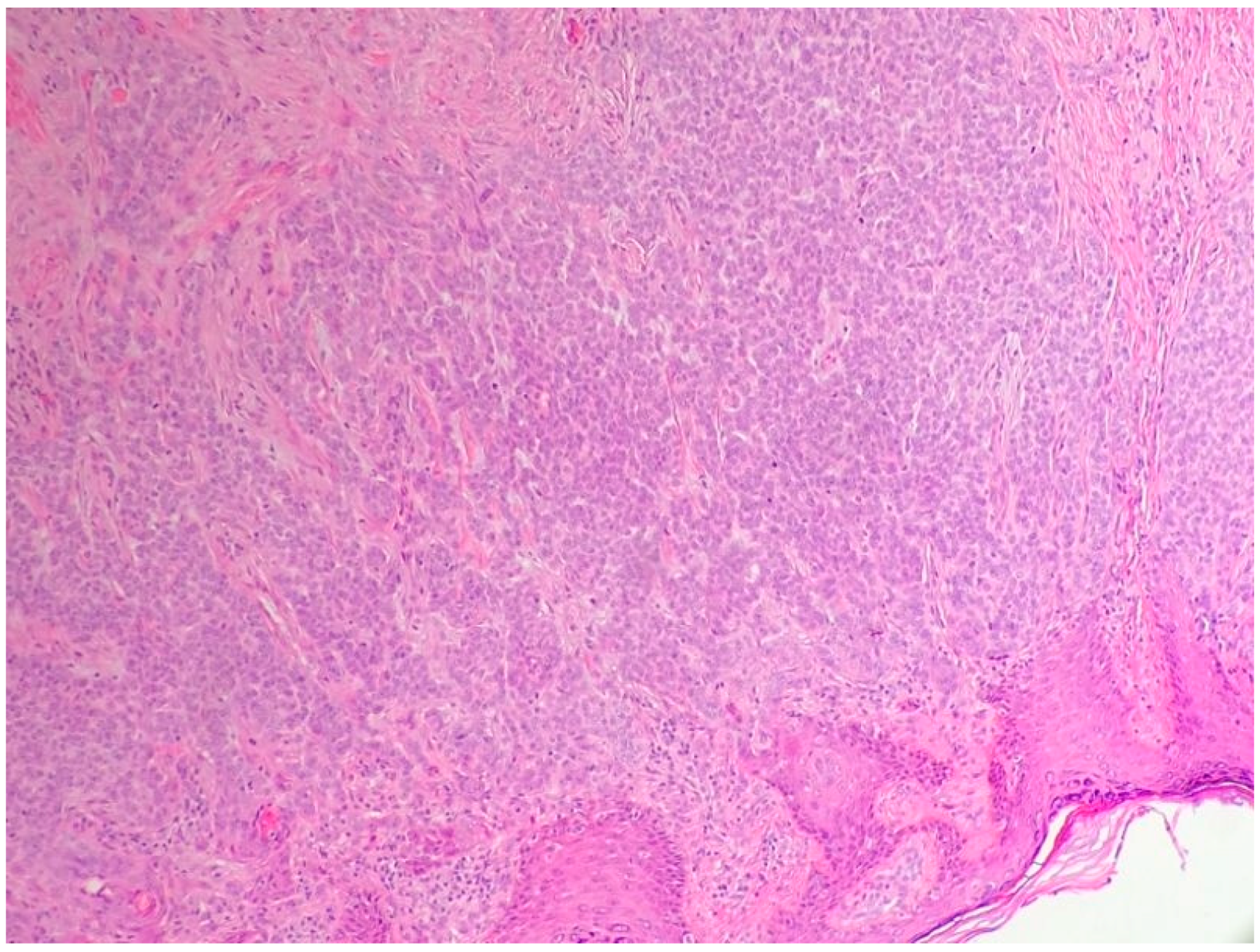 Biomedicines 05 00071 g003