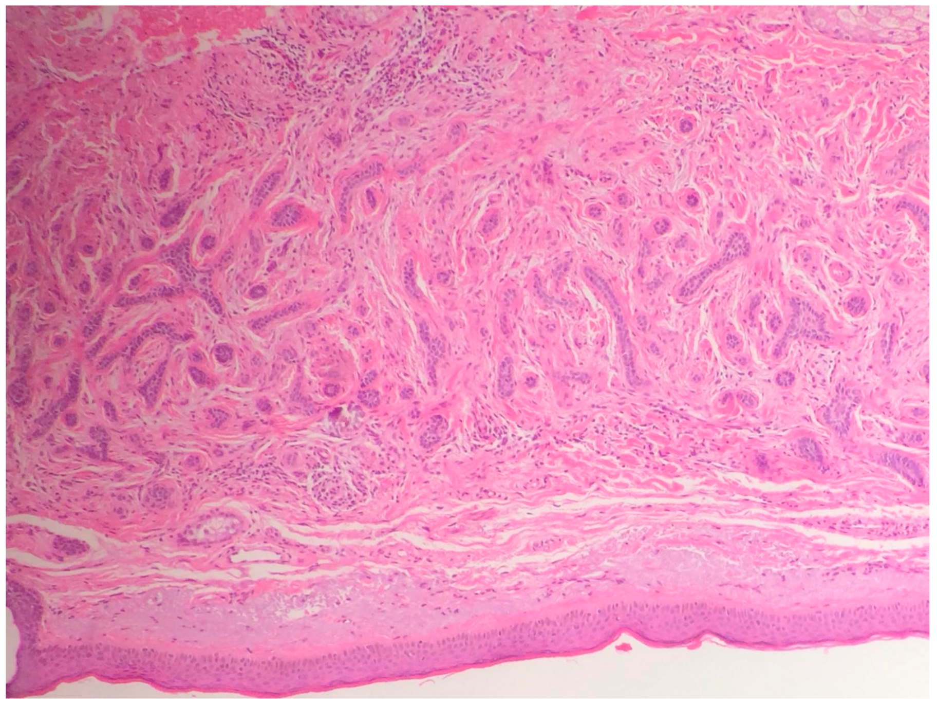 Biomedicines 05 00071 g006