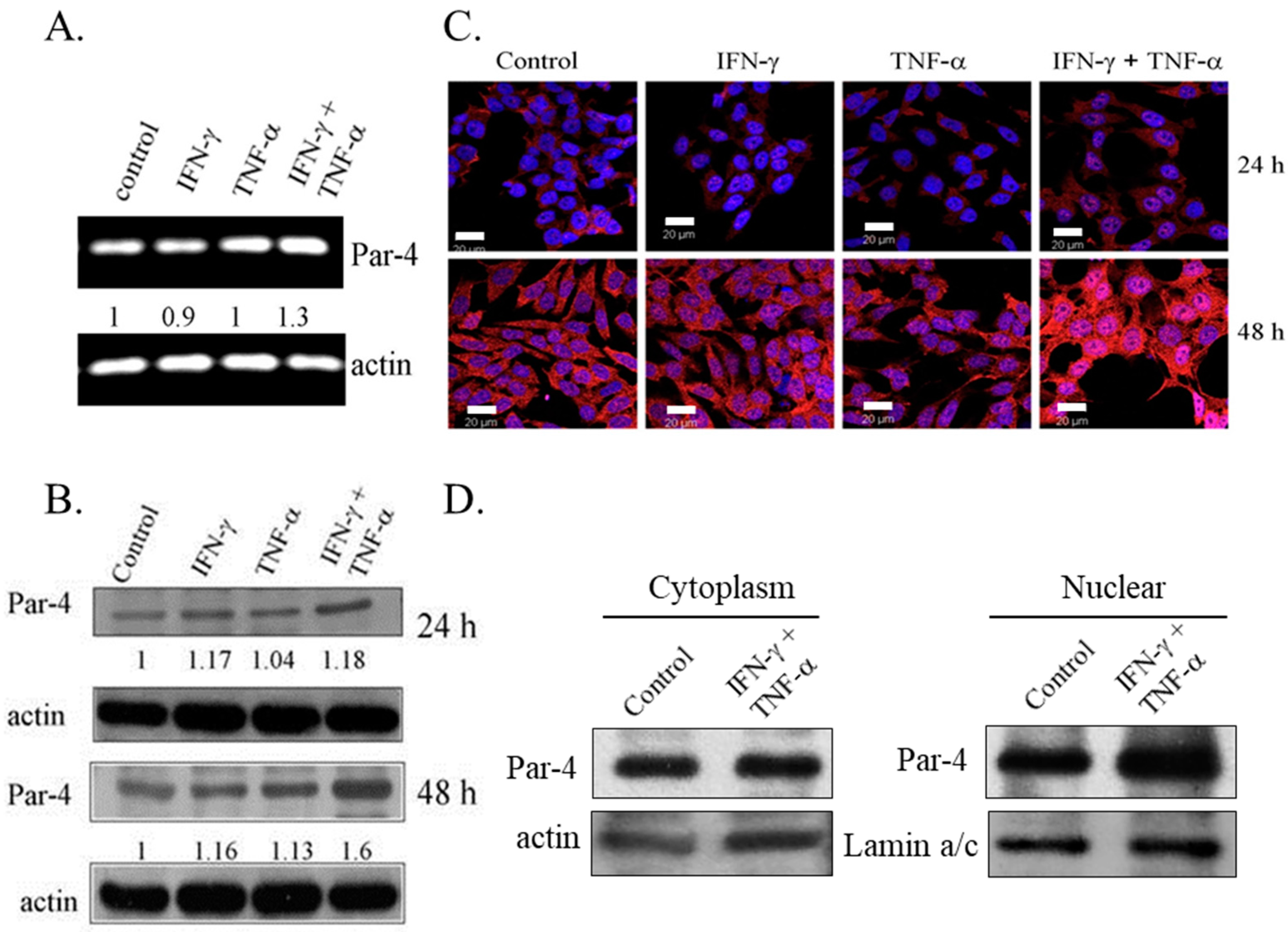 Biomedicines 06 00004 g003