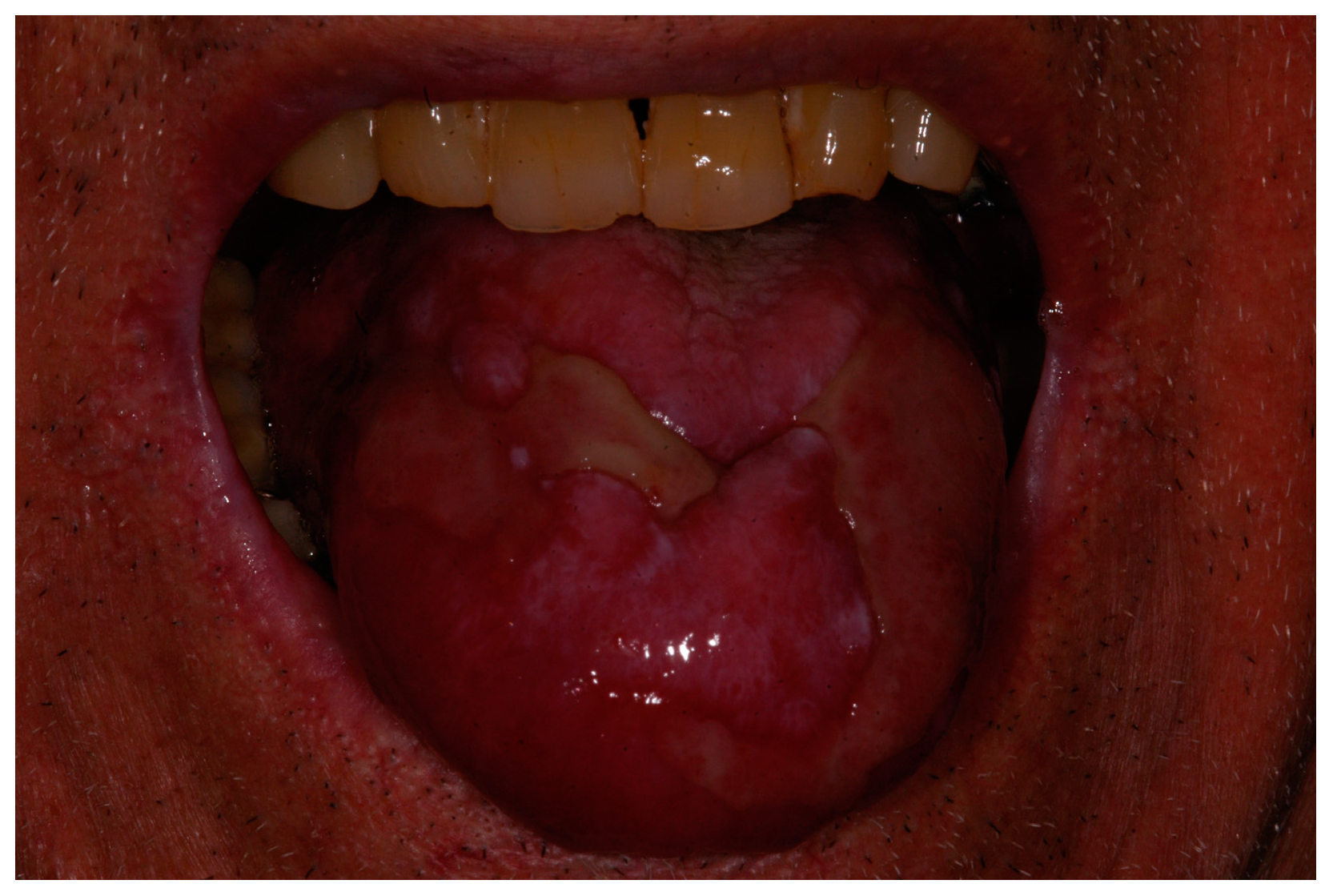 Biomedicines 06 00015 g001