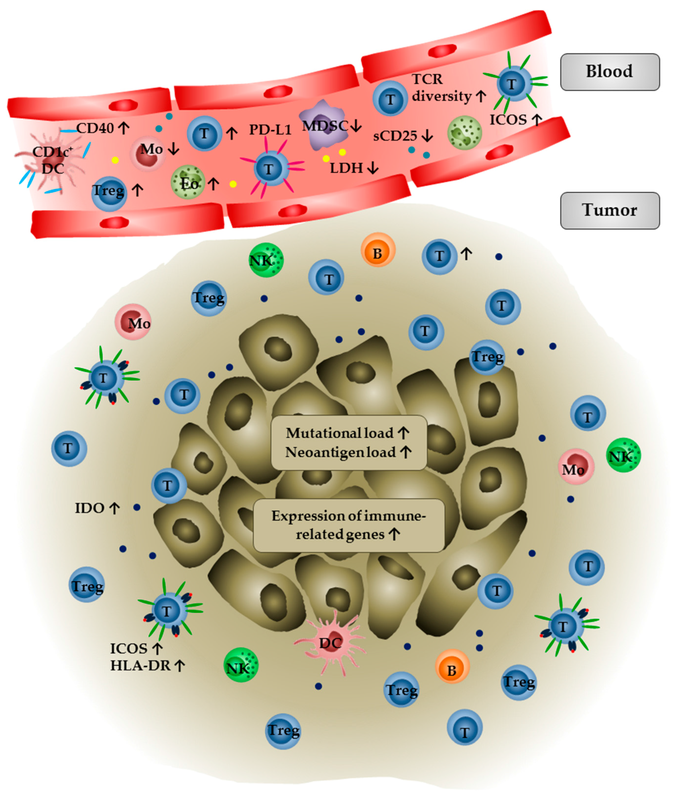 Biomedicines 06 00026 g001 Biomedicines 06 00026 g001