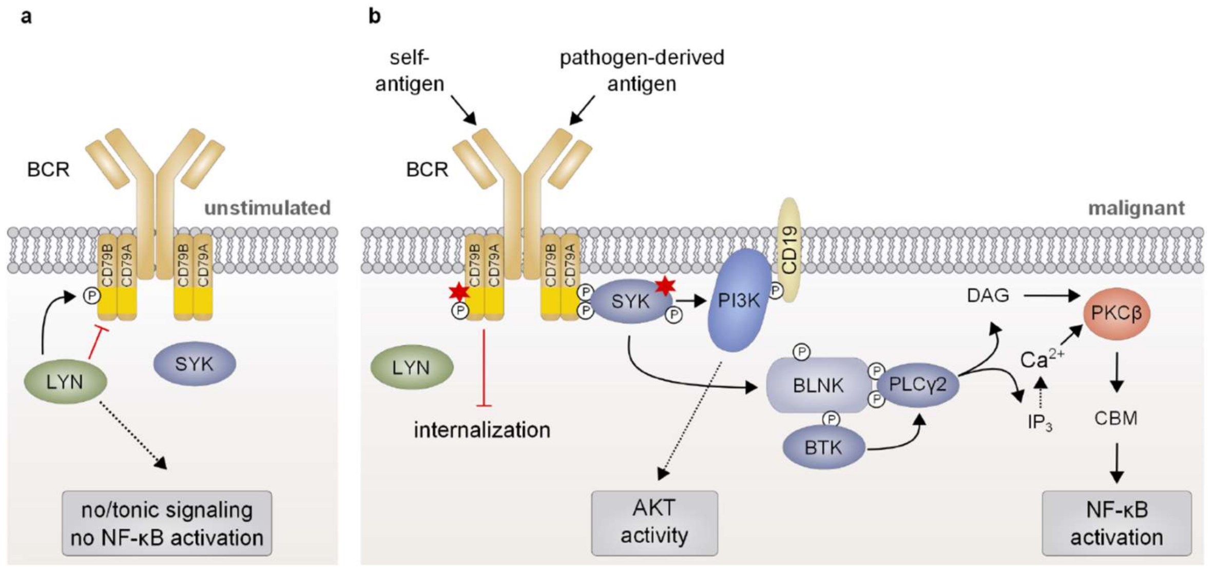 Biomedicines 06 00038 g002 Biomedicines 06 00038 g002